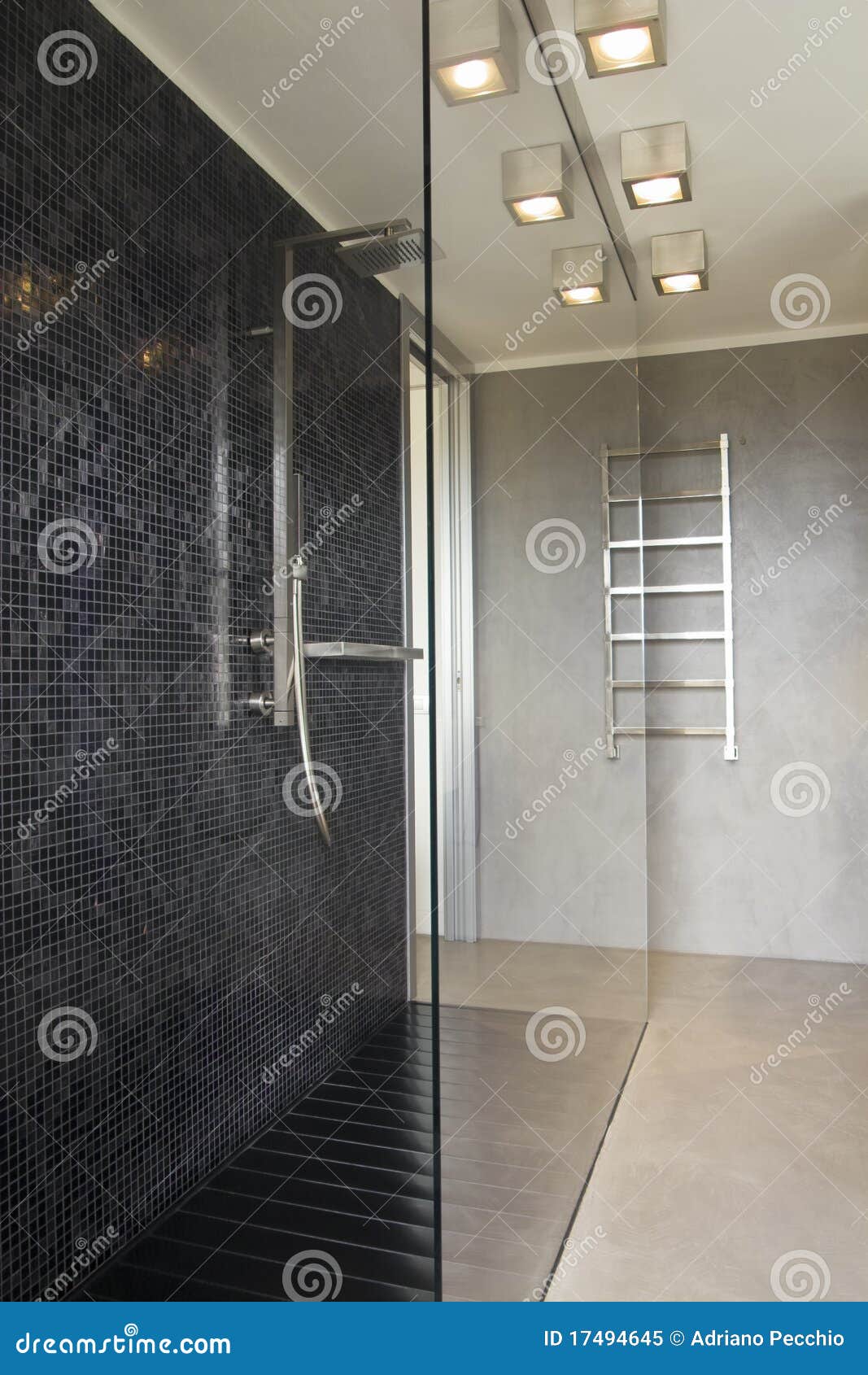 Douche in Moderne Badkamers Stock Afbeelding Image of radiator