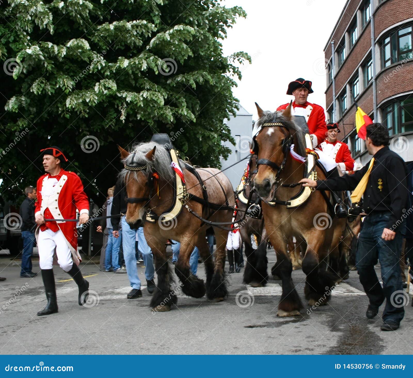 Doudou Parade in Mons, Belgien Redaktionelles Foto - Bild von msgr ...