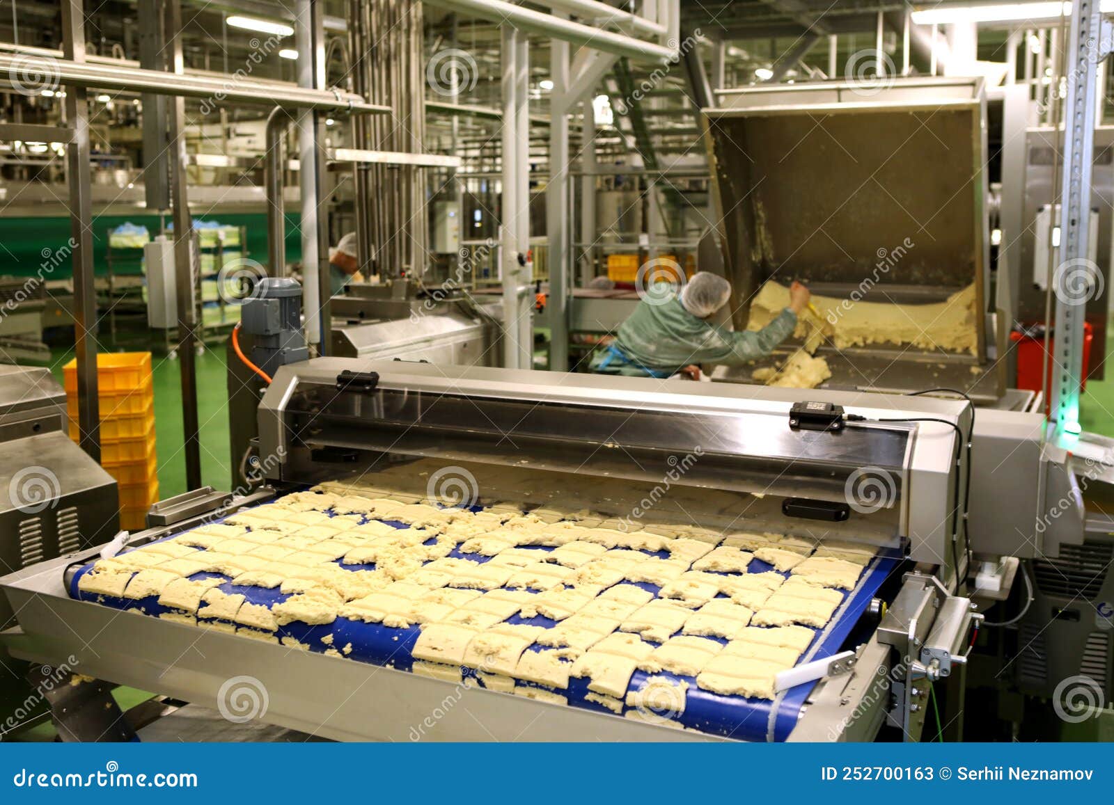 Dough Cutting Line for Biscuits. the Latest Biscuit Production Line