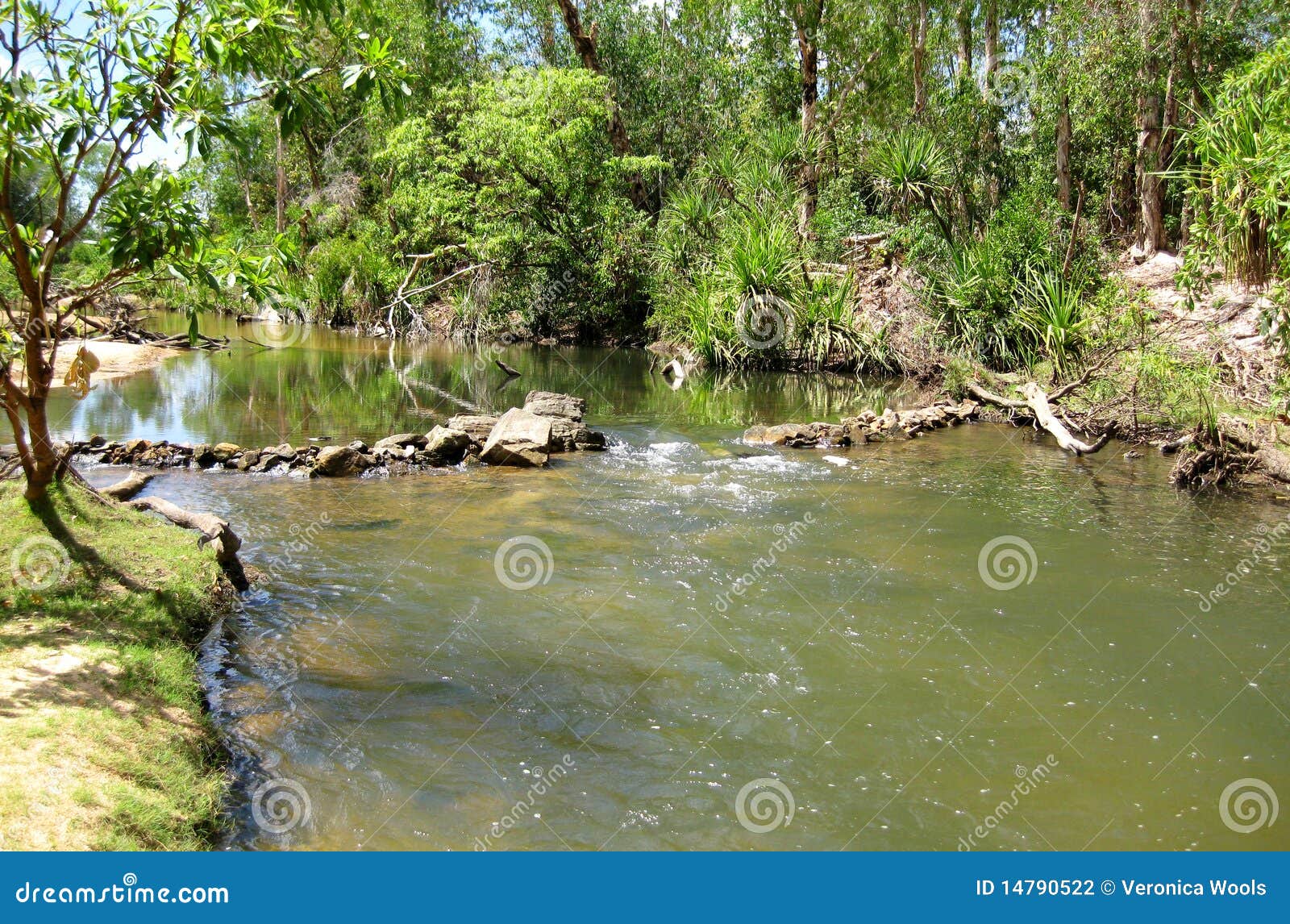 douglas hot springs, northern territory