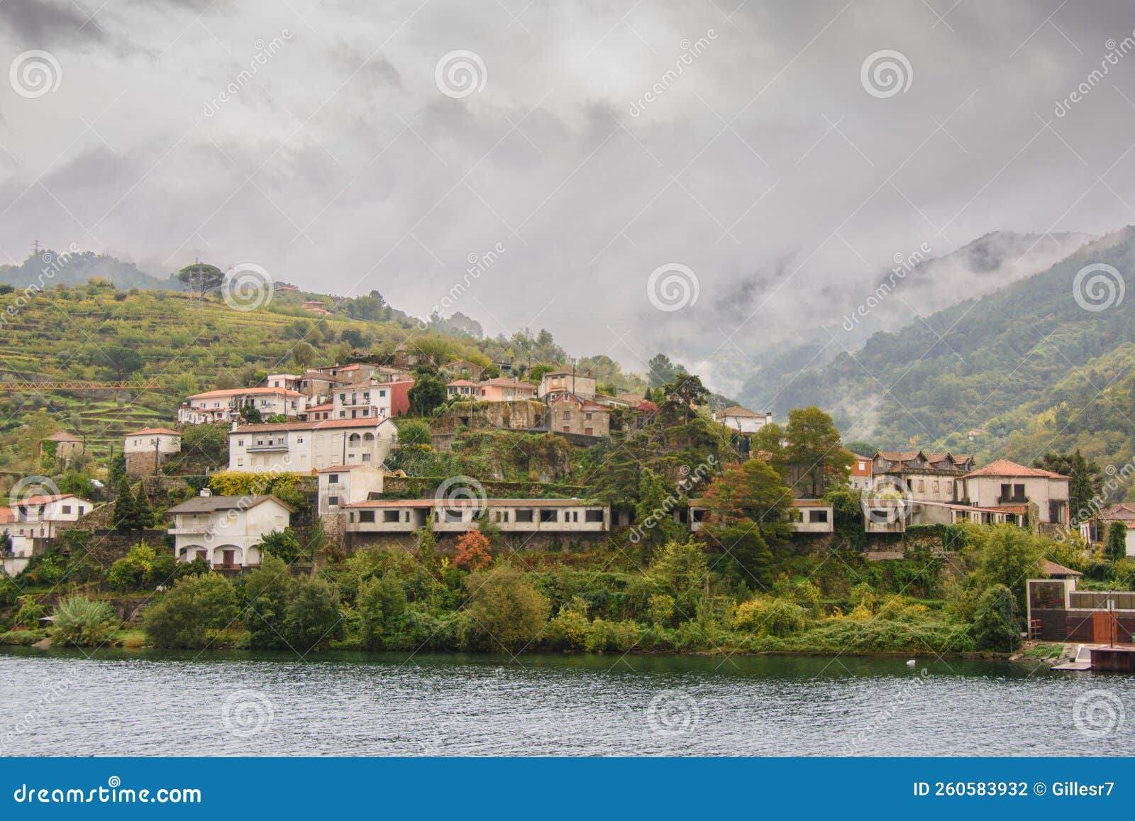 Douro Valley in Portugal stock photo. Image of view 260583932