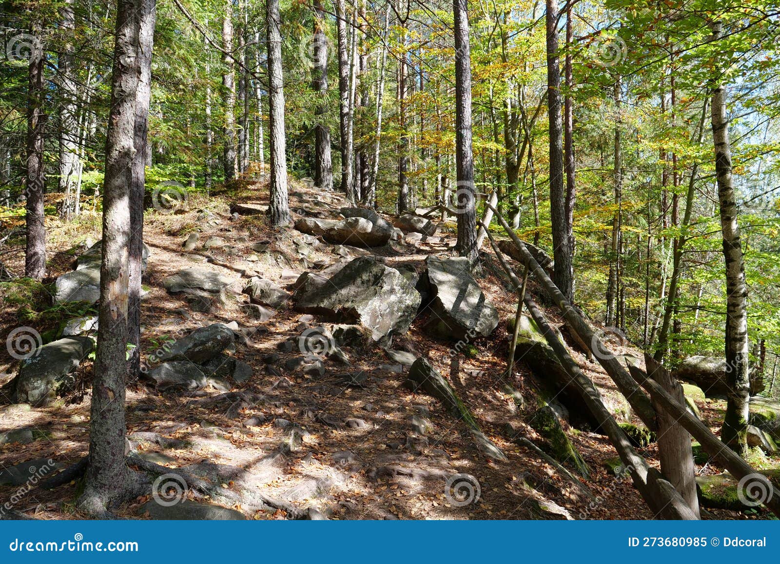 dovbush path - route through wooded mountain slopes near yaremche, ukraine