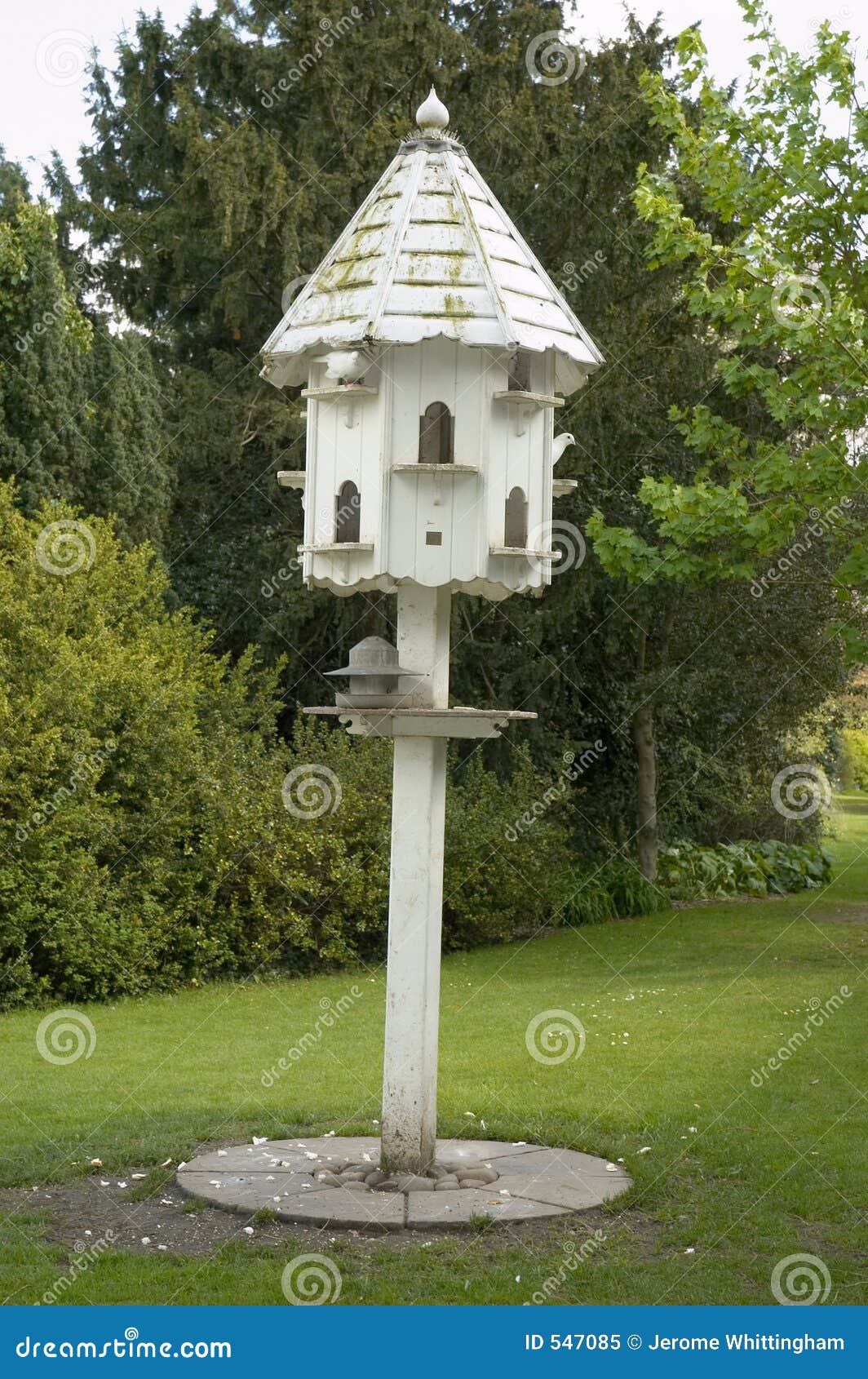 Dovecote stock image. Image of parks, food, pigeons, feeder 547085
