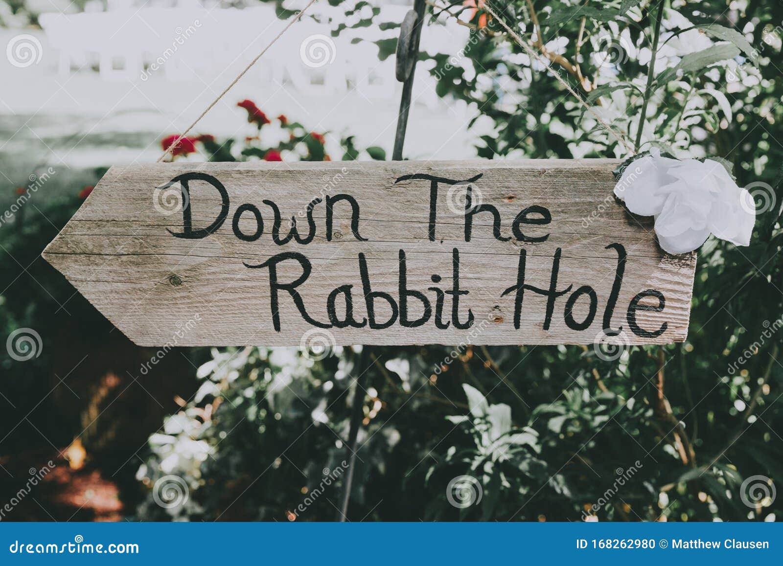 down the rabbit hole sign