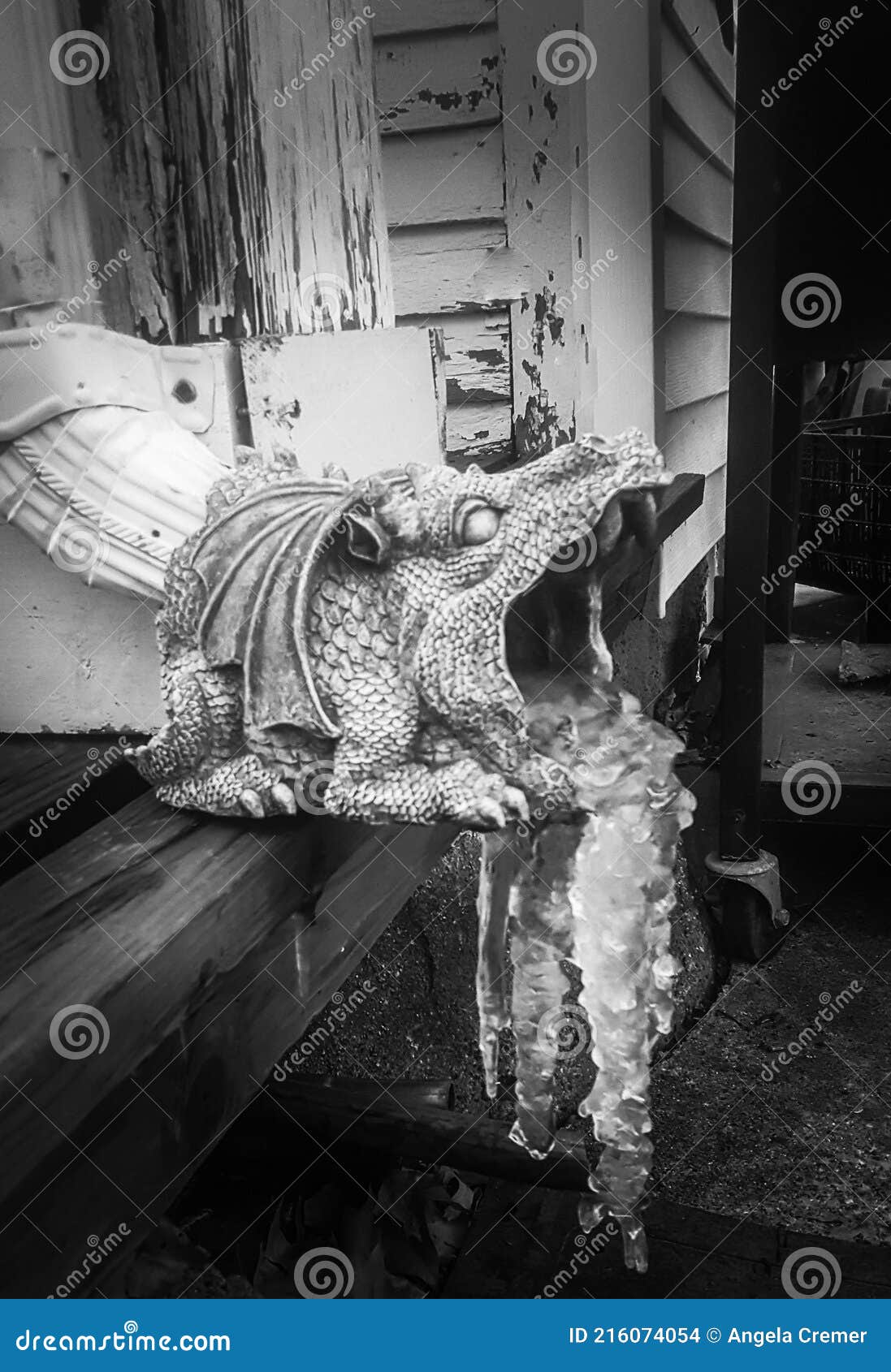 Downspout Dragon Stock Photos Free & RoyaltyFree Stock Photos from