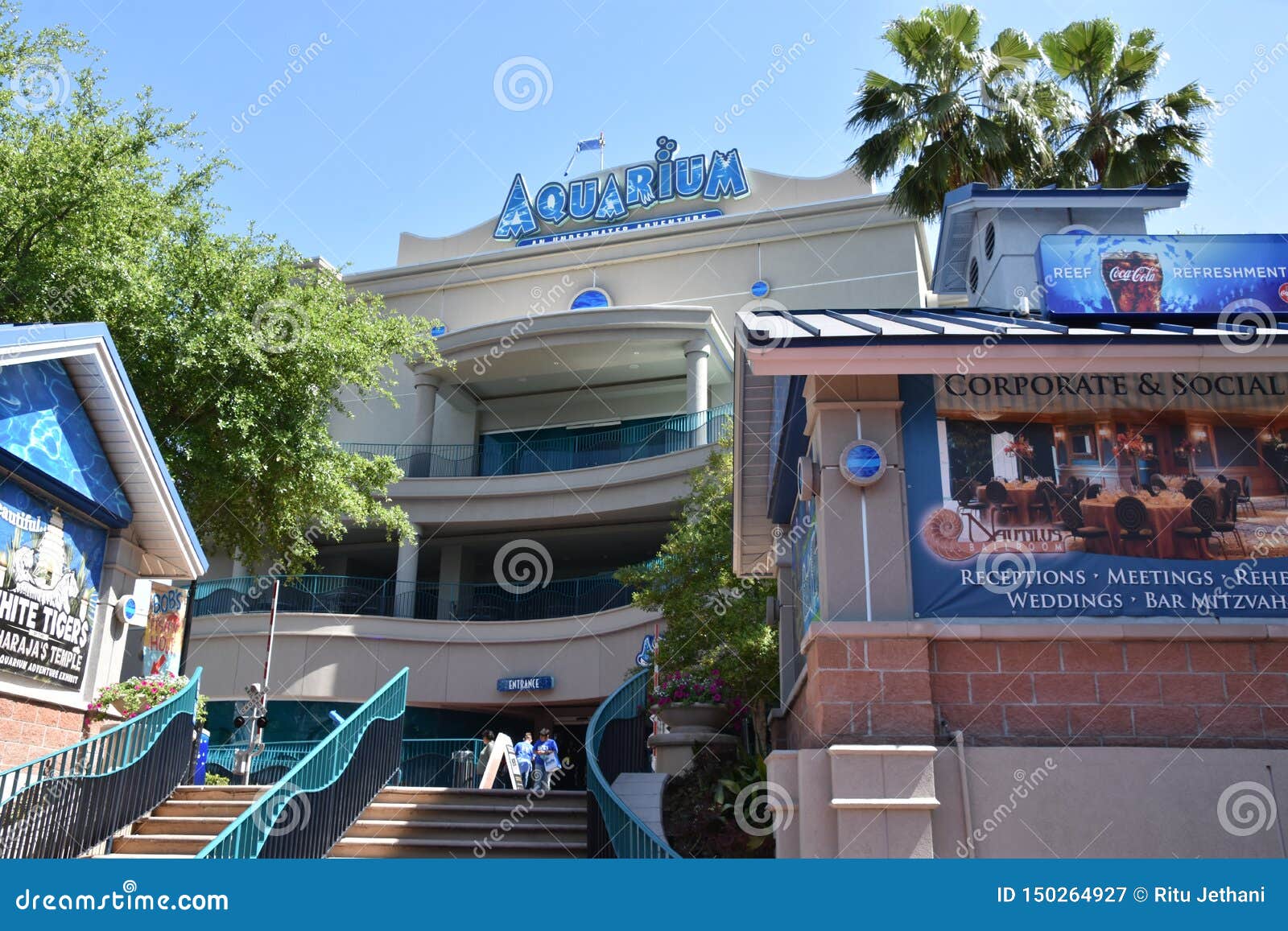 3,418 Downtown Aquarium Stock Photos - Free & Royalty-Free Stock Photos  from Dreamstime