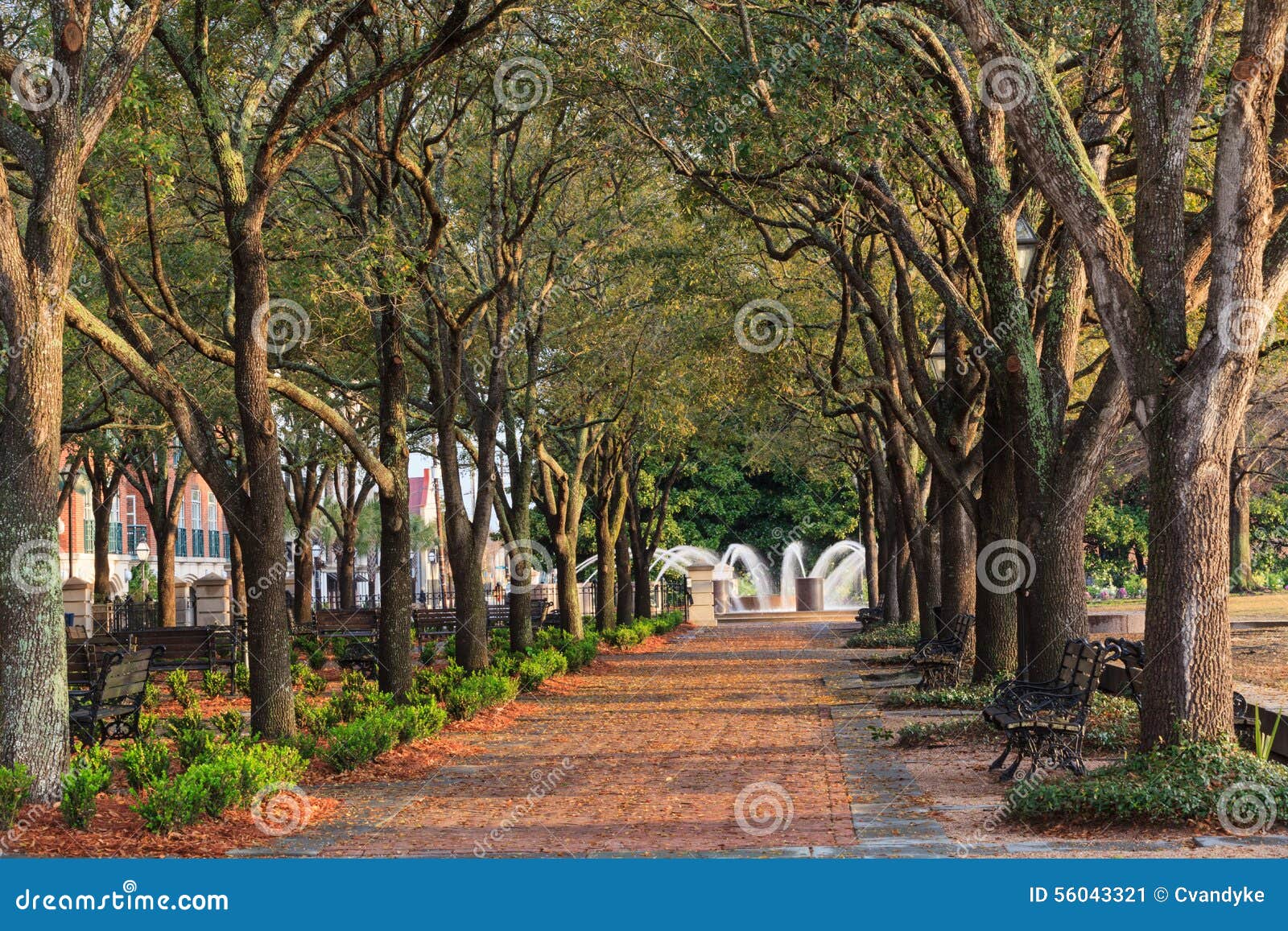 downtown charleston sc waterfront park