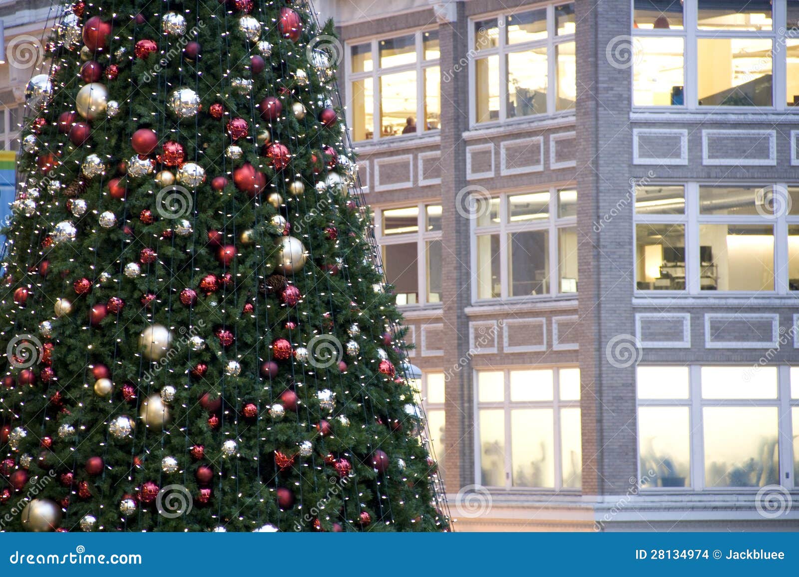 Downtown Christmas tree stock photo. Image of holidayoffice 28134974