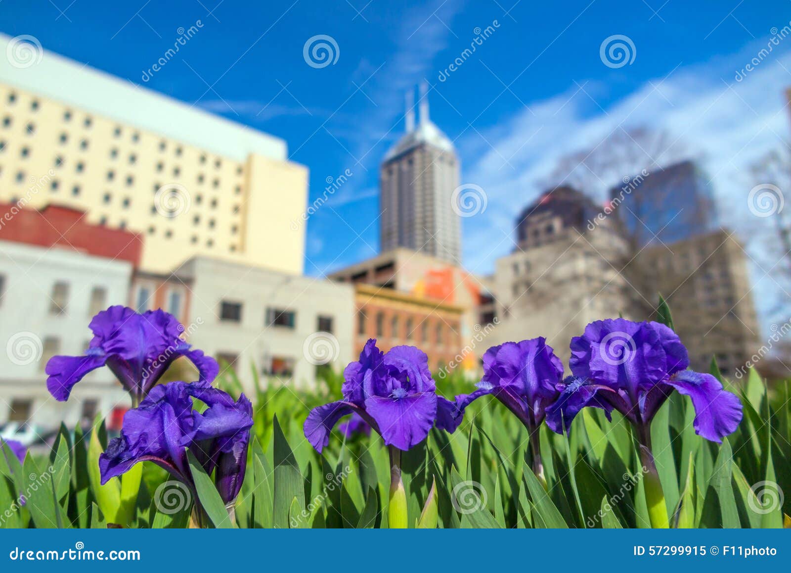 Downtown Indianapolis Skyline Stock Image Image of indianapolis