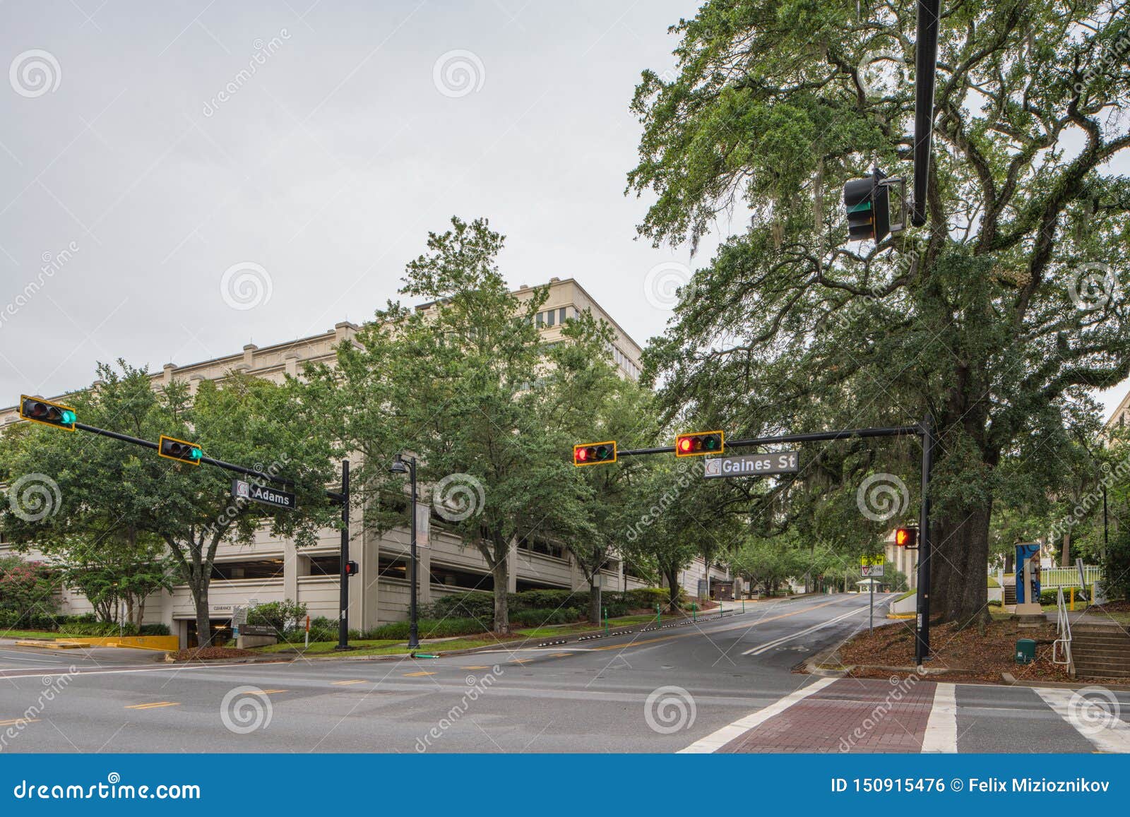 Downtown Tallahassee FL Gaines Street Stock Photo Image of trees