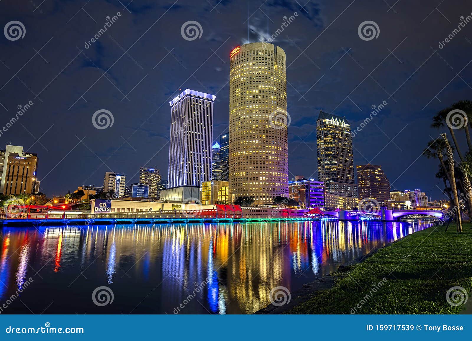 Downtown Tampa At Night From The Campus Of Tampa University Editorial