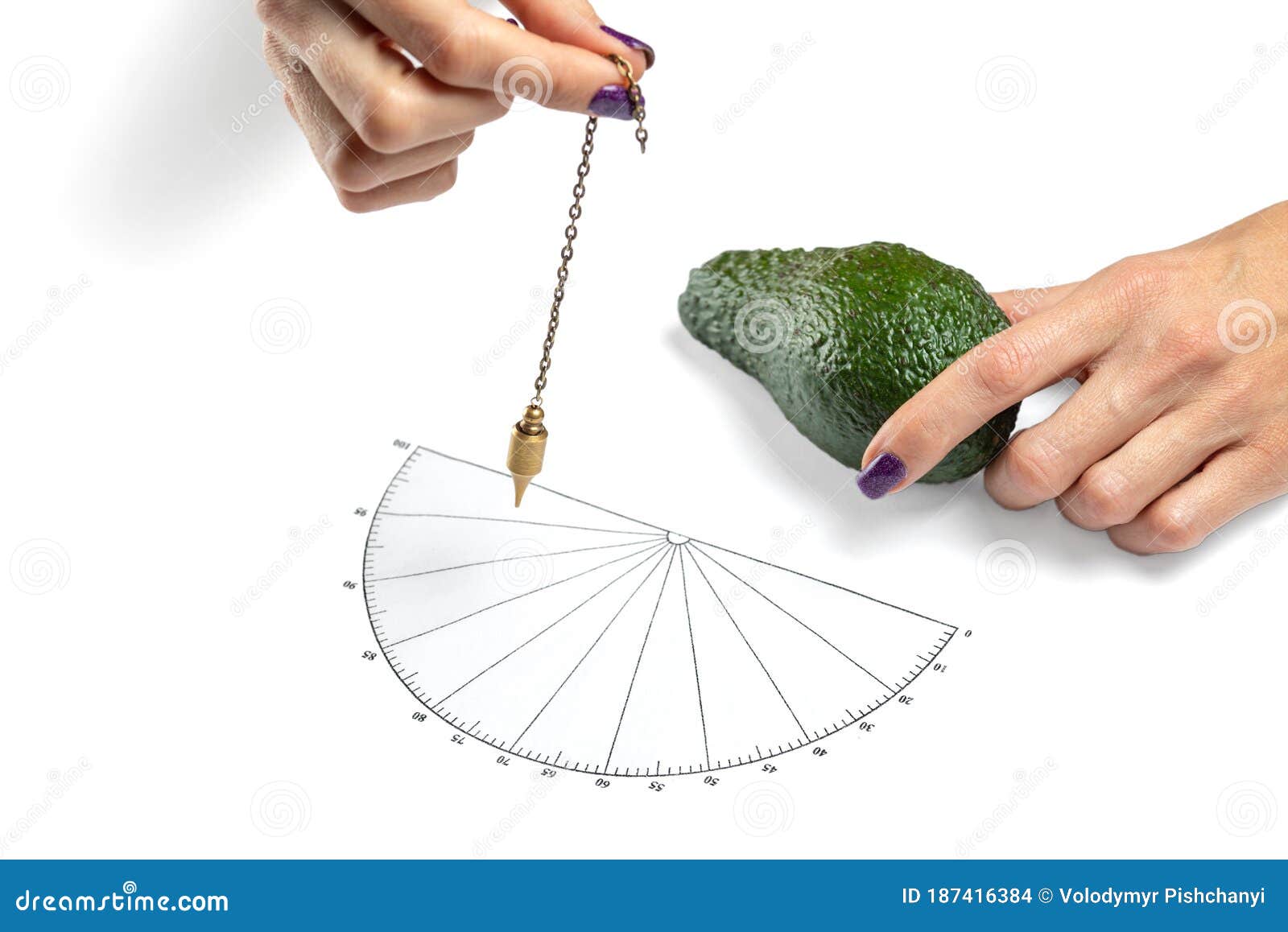 dowser with hand-held pendulum checks the usefulness of avocado