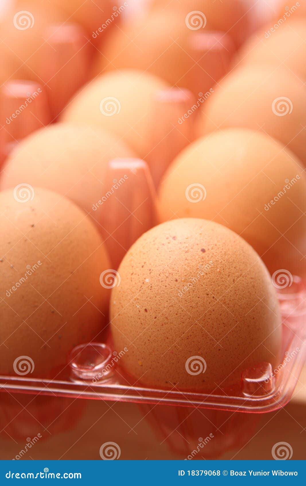 Dozen eggs stock photo. Image of container, embryo, chick 18379068