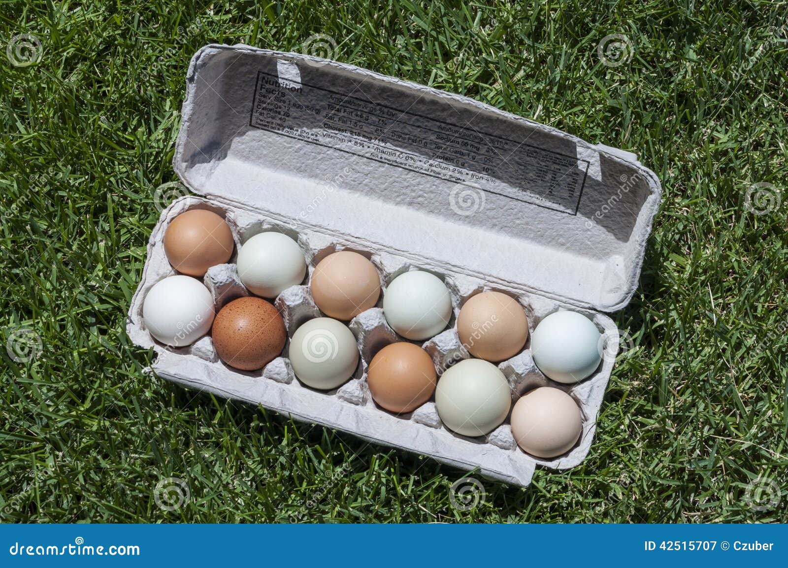 Dozen eggs stock image. Image of pack, lawn, kinds, open 42515707