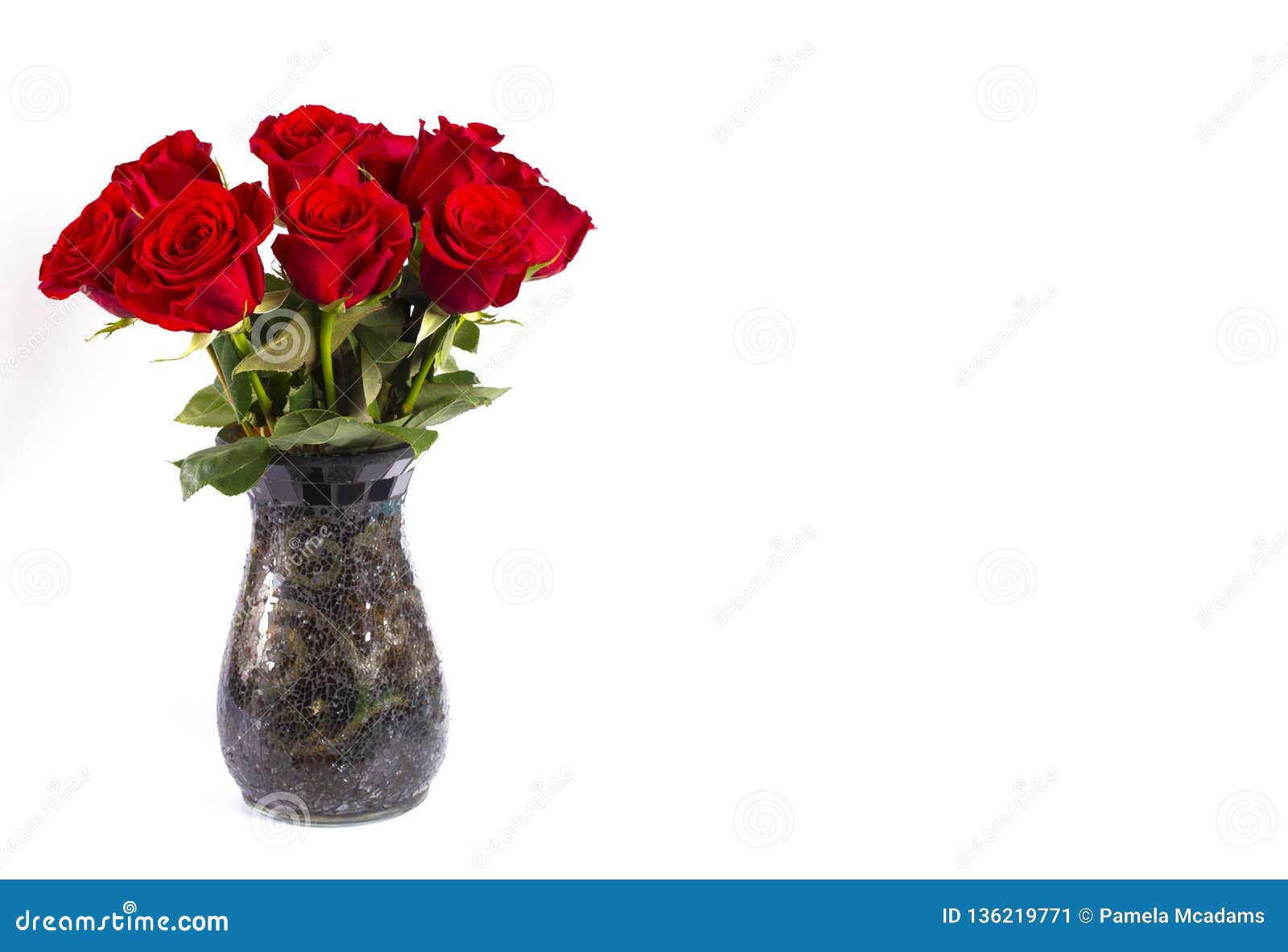Dozen Red Roses in a Vase Isolated on a White Background Stock Image