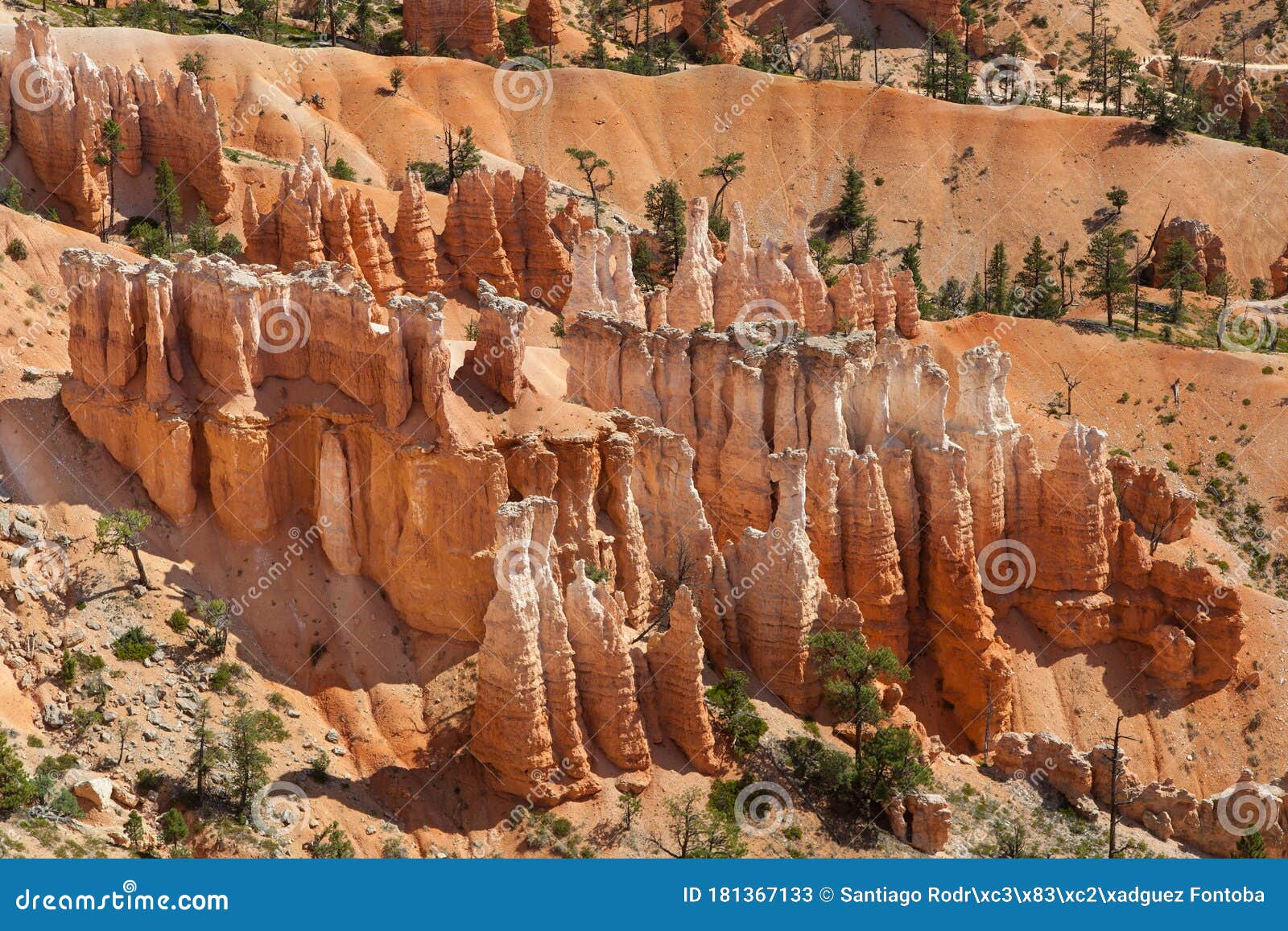 dozens of hoodoos from sunset point