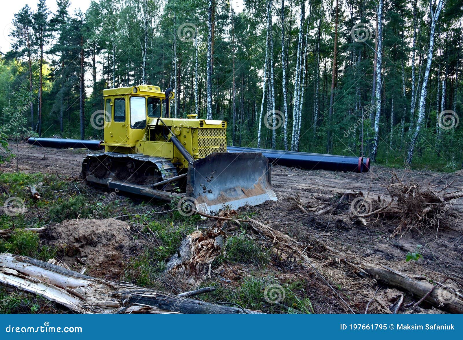 Dozer Earthwork for Laying Crude Oil Natural Gas Pipeline in Forest Area. Petrochemical Pipe. Track-type Stock - Image of contractor, people: 197661795