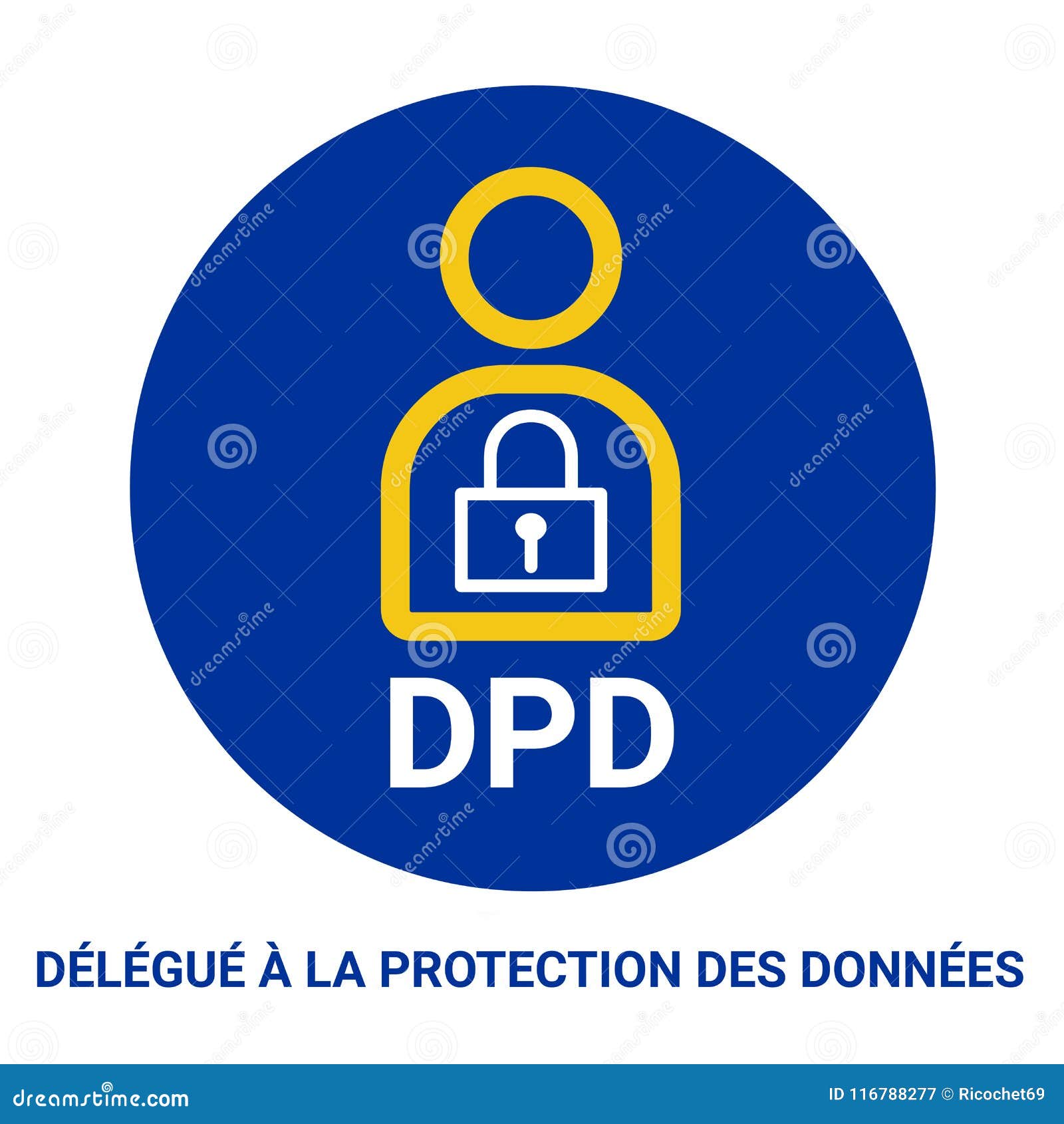 dpo, data protection officer called dpd in french