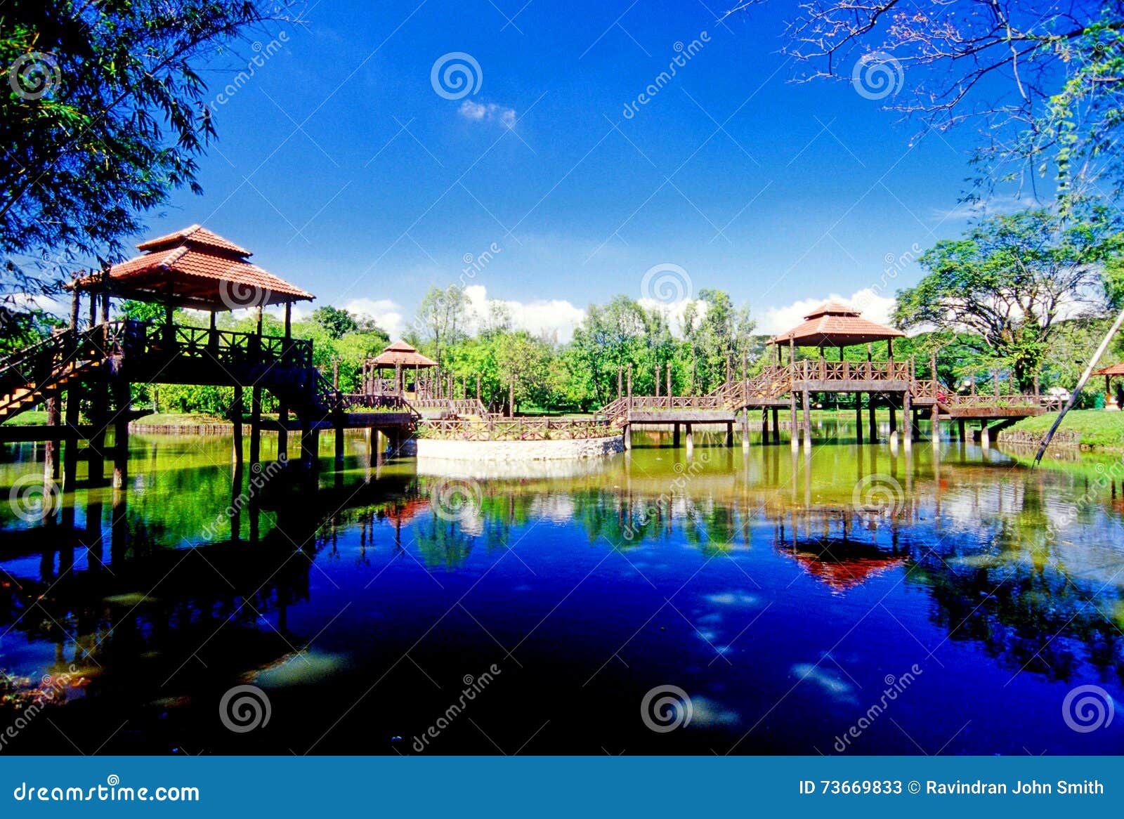 Dr Seenivasagam Park editorial stock photo. Image of river - 73669833