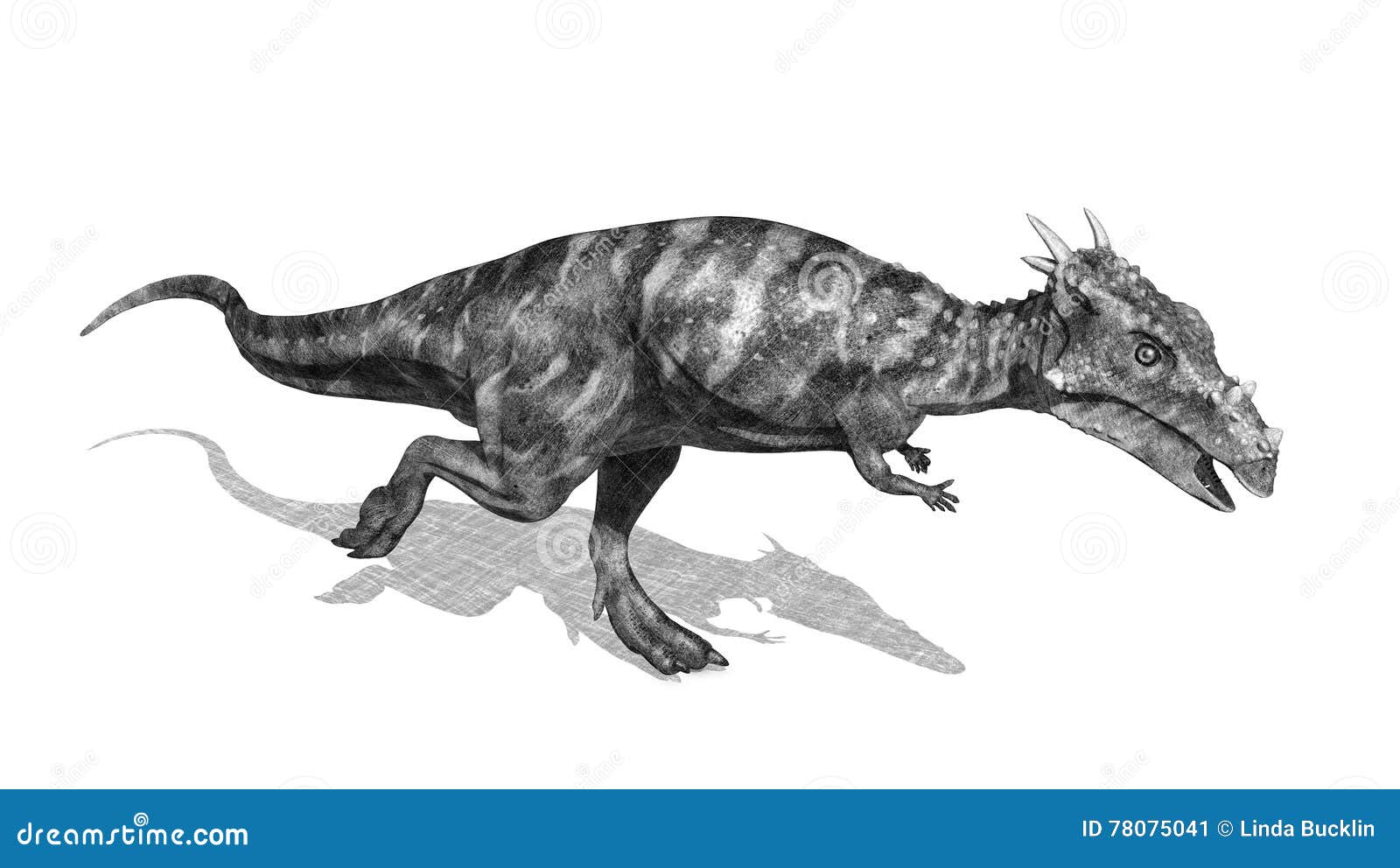 Dracorex Dinosaur Pencil Drawing Style Stock Illustration - Illustration of  drawing, action: 78075041