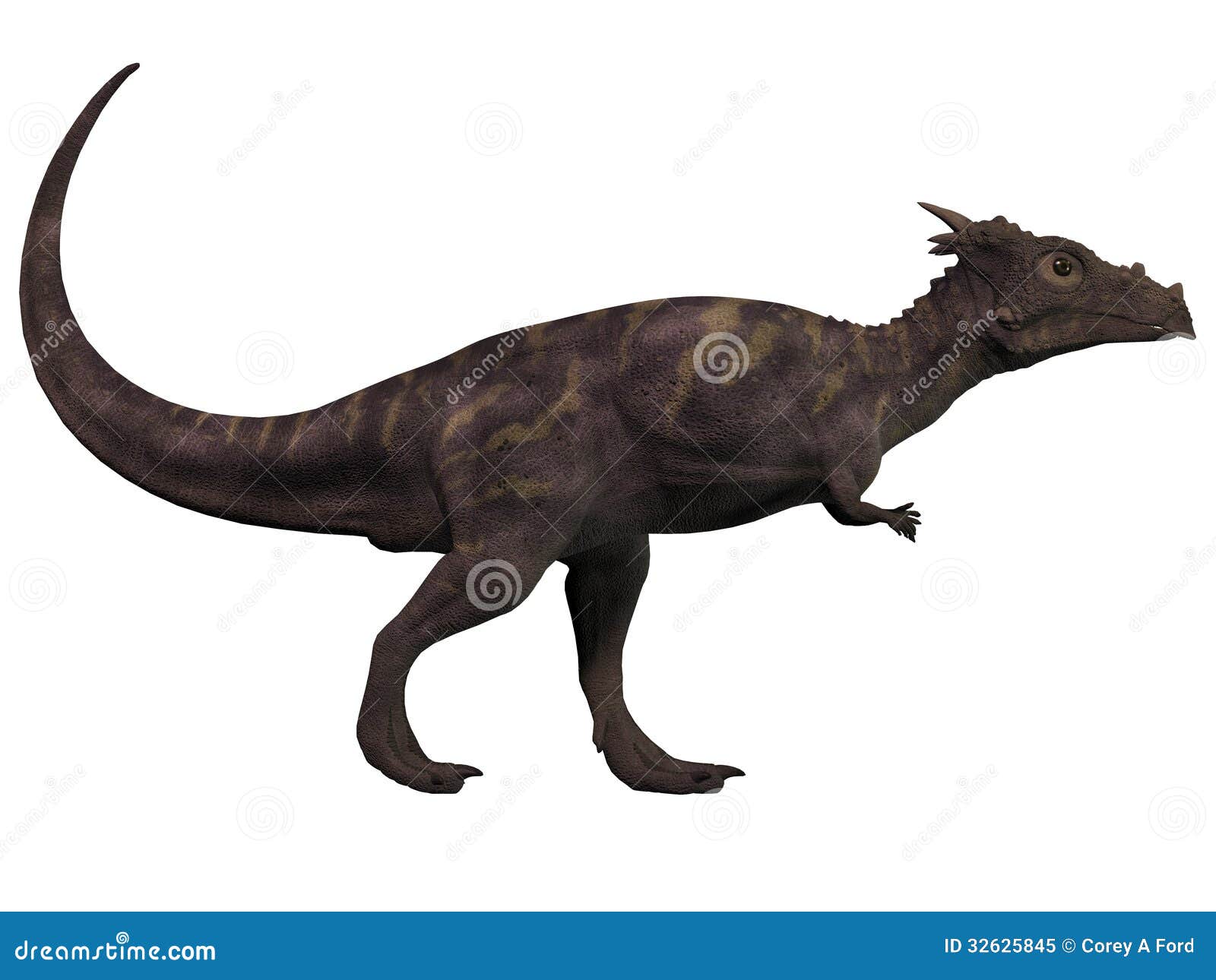 Dracorex Dinosaur Pencil Drawing Style Stock Illustration - Illustration of  drawing, action: 78075041