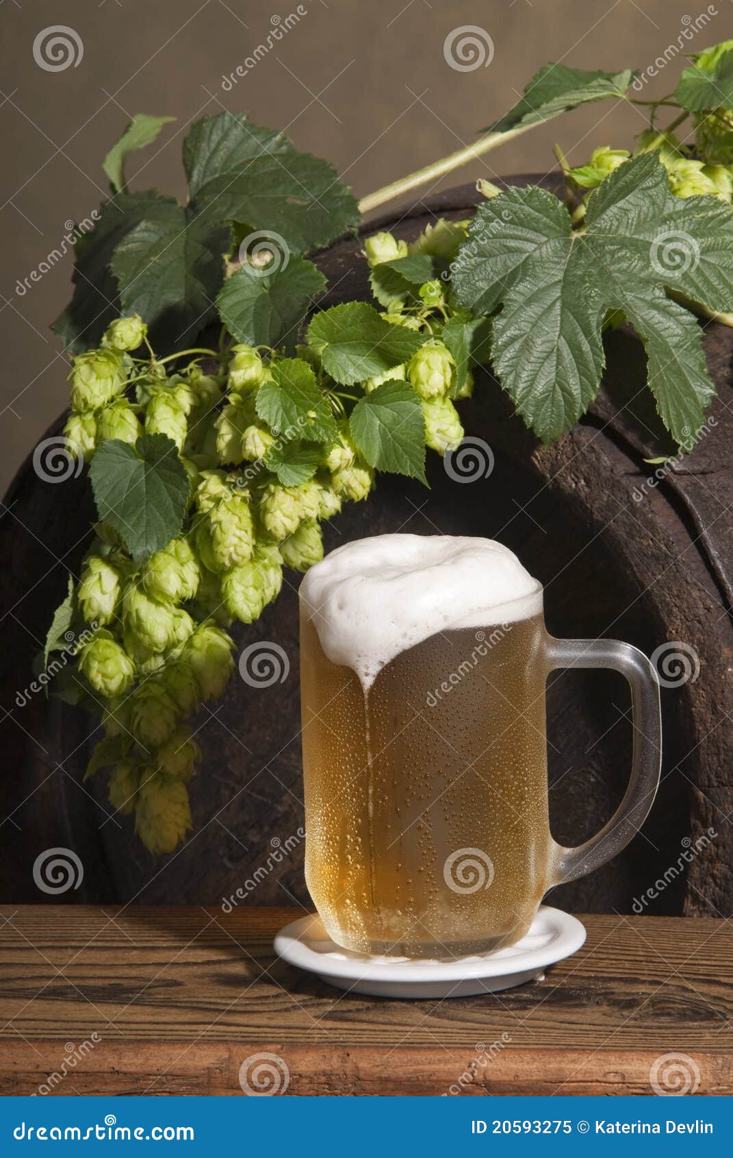 Draft beer with hops stock image. Image of cones, beer 20593275