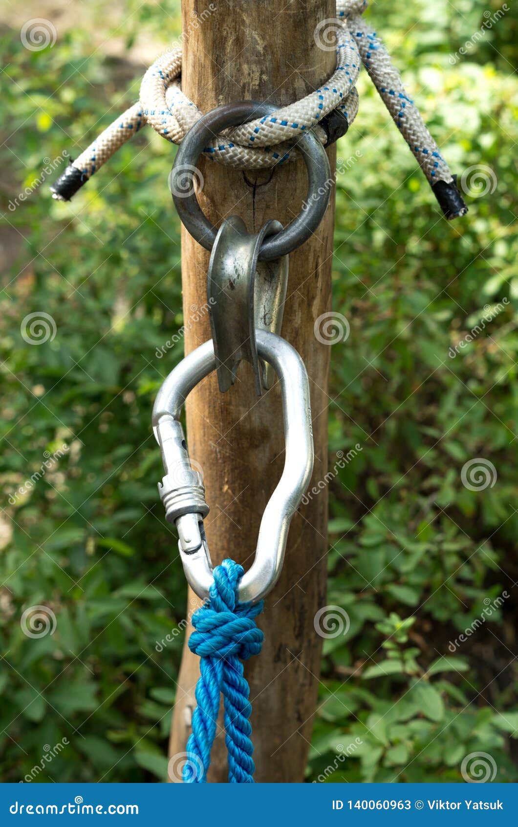 Drag the Tree. Pull the Rope Stock Image - Image of extreme, active:  140060963