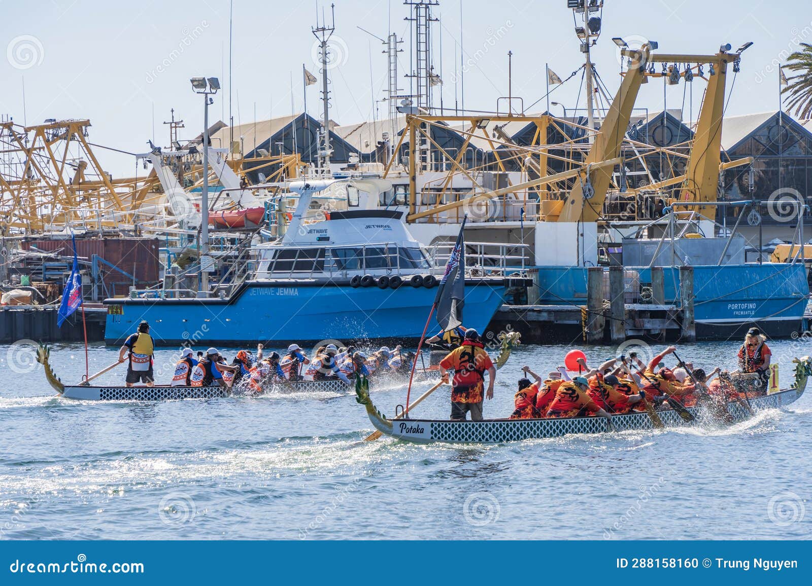 Dragon Boat Race at the Fremantle Fishing Boat Harbour Editorial Image ...