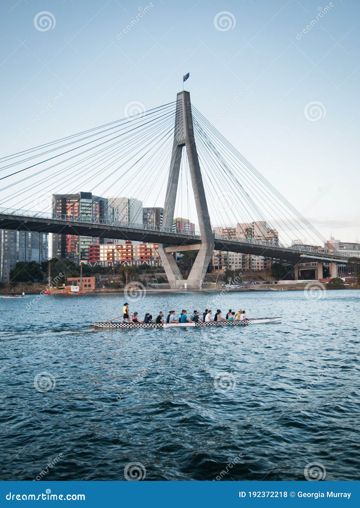 Dragon Boat Rowing Team Early Morning Stock Photo Image of bridge