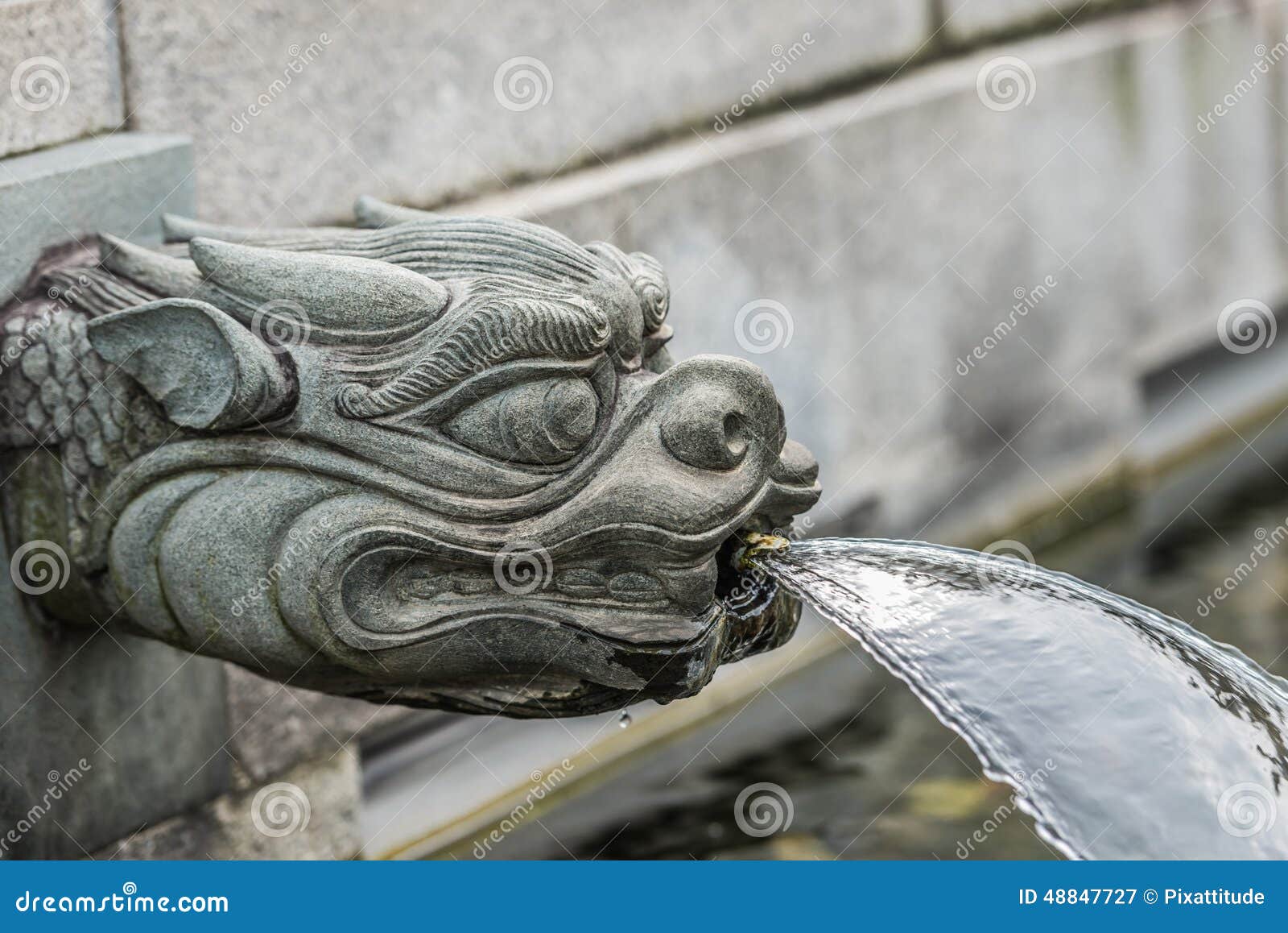 dragon fountain chi lin nunnery kowloon hong kong