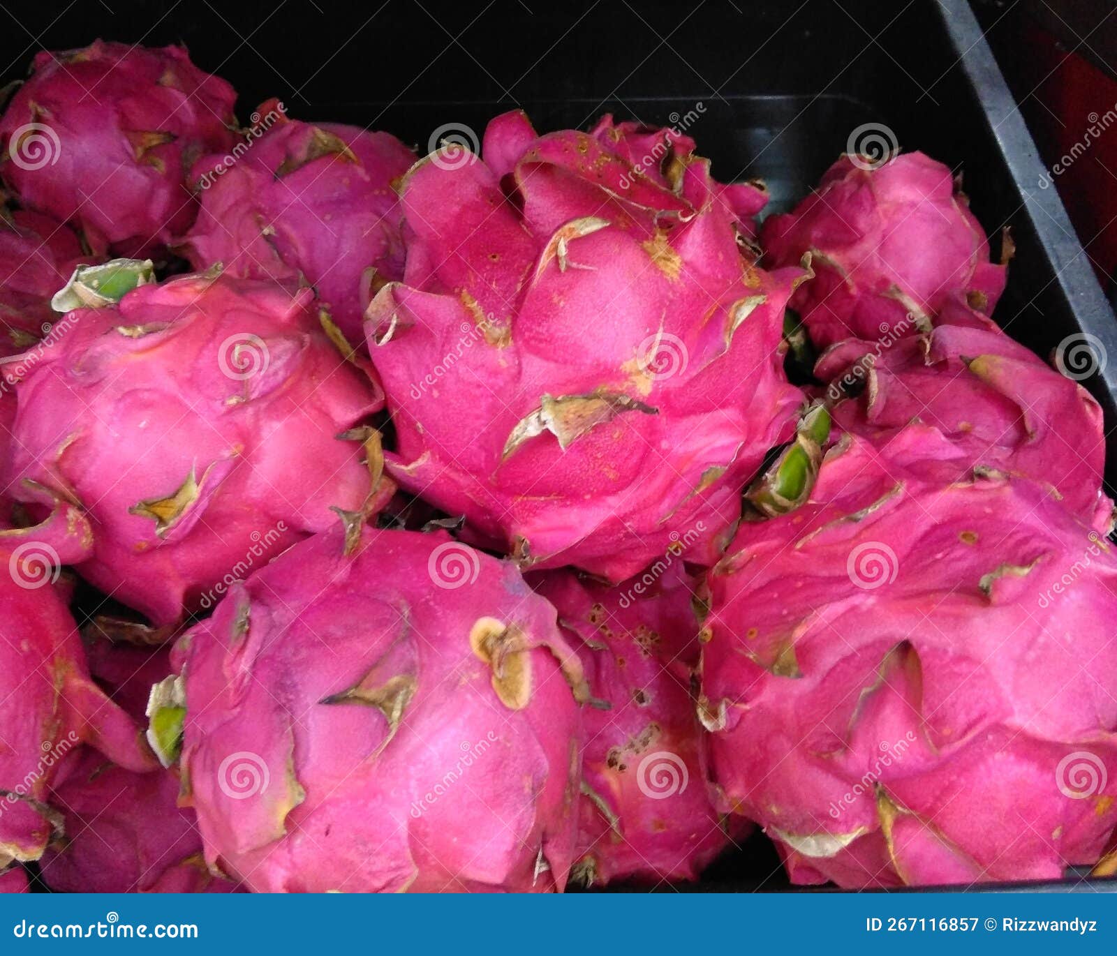 Dragon fruit in the market stock image. Image of fruit 267116857