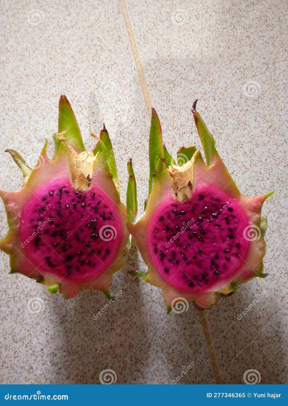 Dragon Fruit that is Small when Cut Stock Image Image of small, fruit