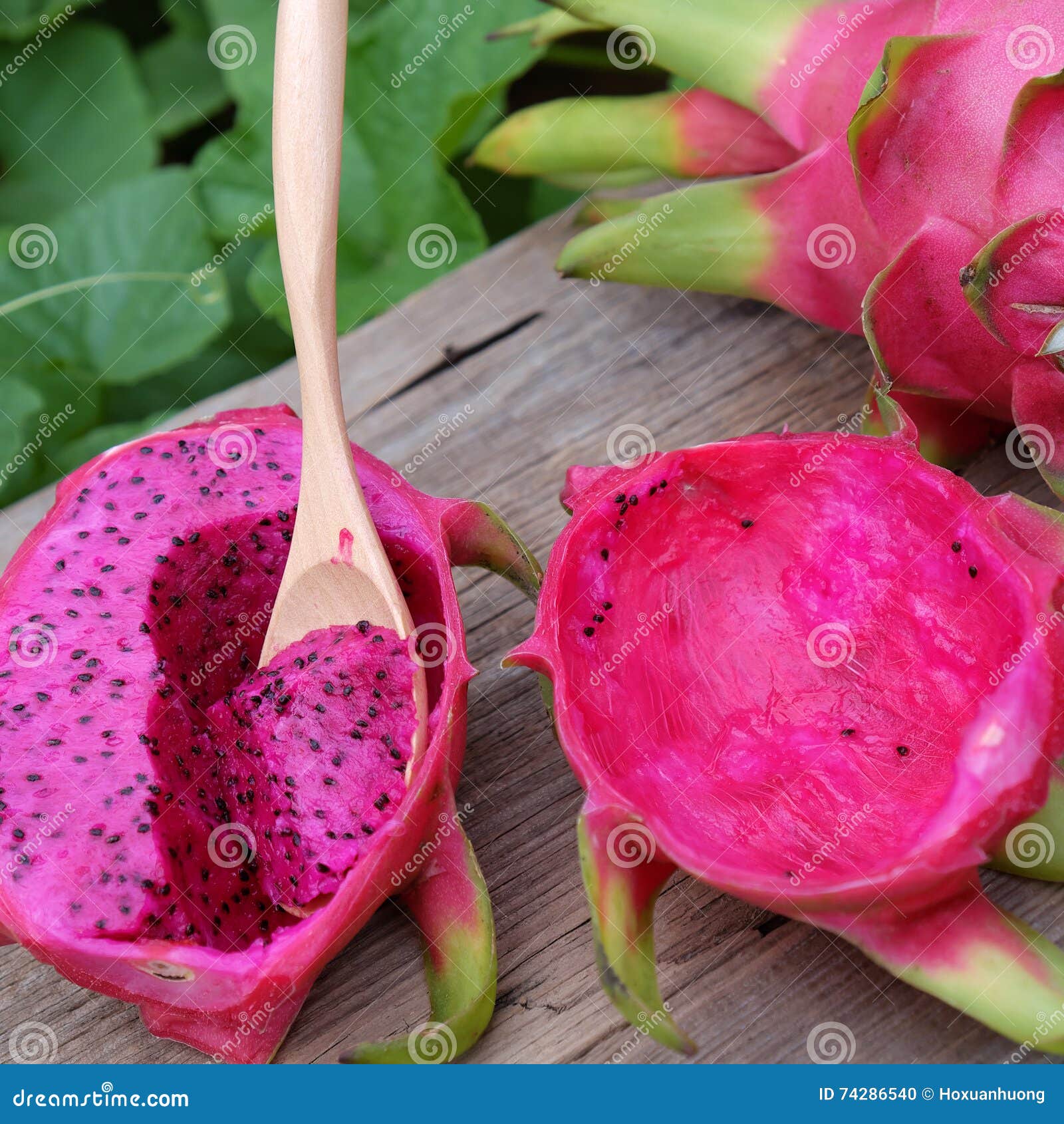 dragon fruit, tropical fruits, vietnam agriculture stock photo
