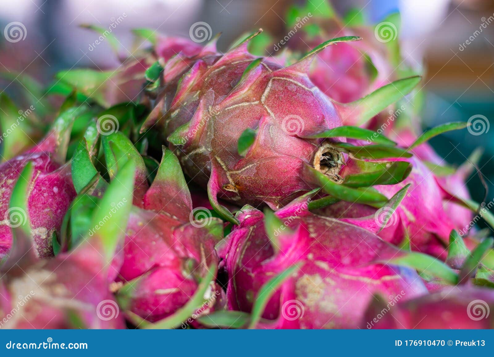 Dragon fruit stock photo. Image of nature, 176910470