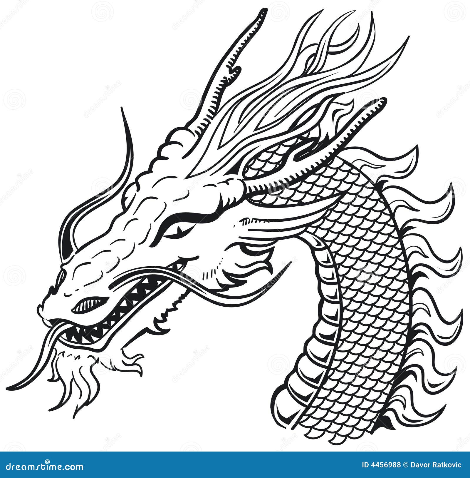 Chinese dragon head tattoo line art vector 8902223 Vector Art at Vecteezy