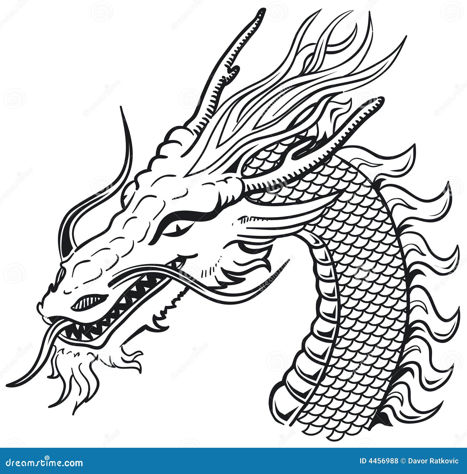 medieval dragon head