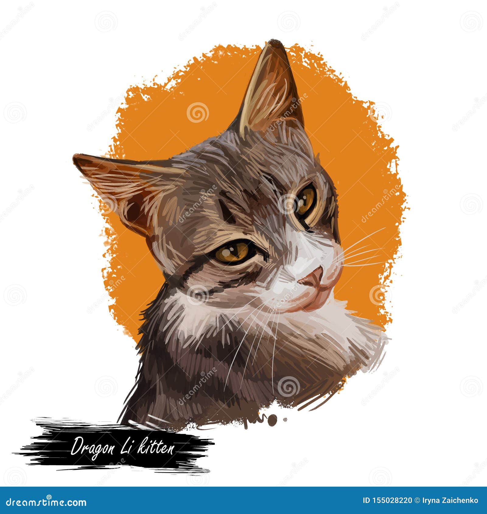 Dragon Li Cat Portrait Isolated Digital Art Stock Illustration Illustration Of Drawing Dragon 155028220