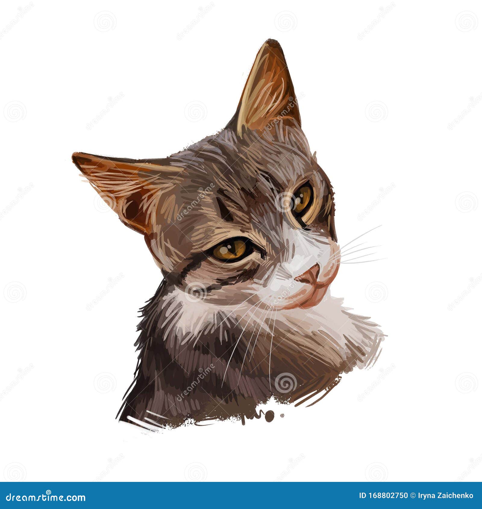 Dragon Li Or Chinese China Li Hua Cat Isolated On White Digital Art Illustration Of Hand Drawn Kitty For Web Kitten Have White Stock Illustration Illustration Of Color Indoor 168802750