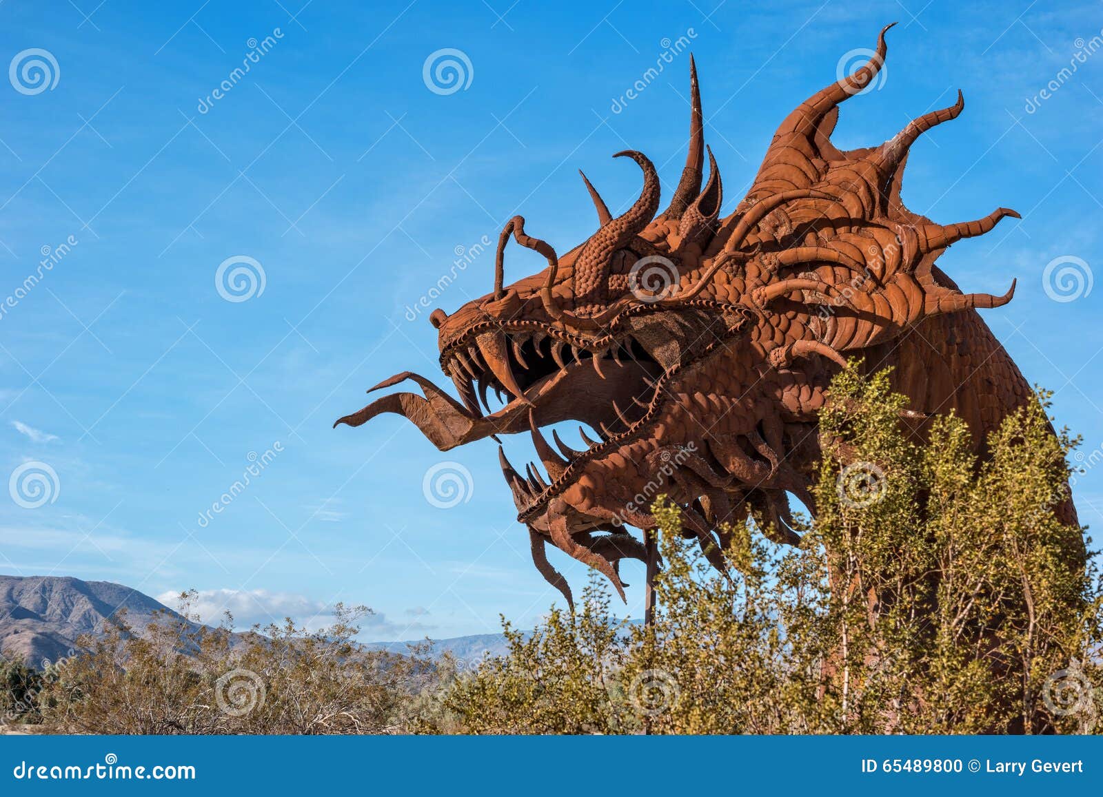 dragon's head in galleta meadows