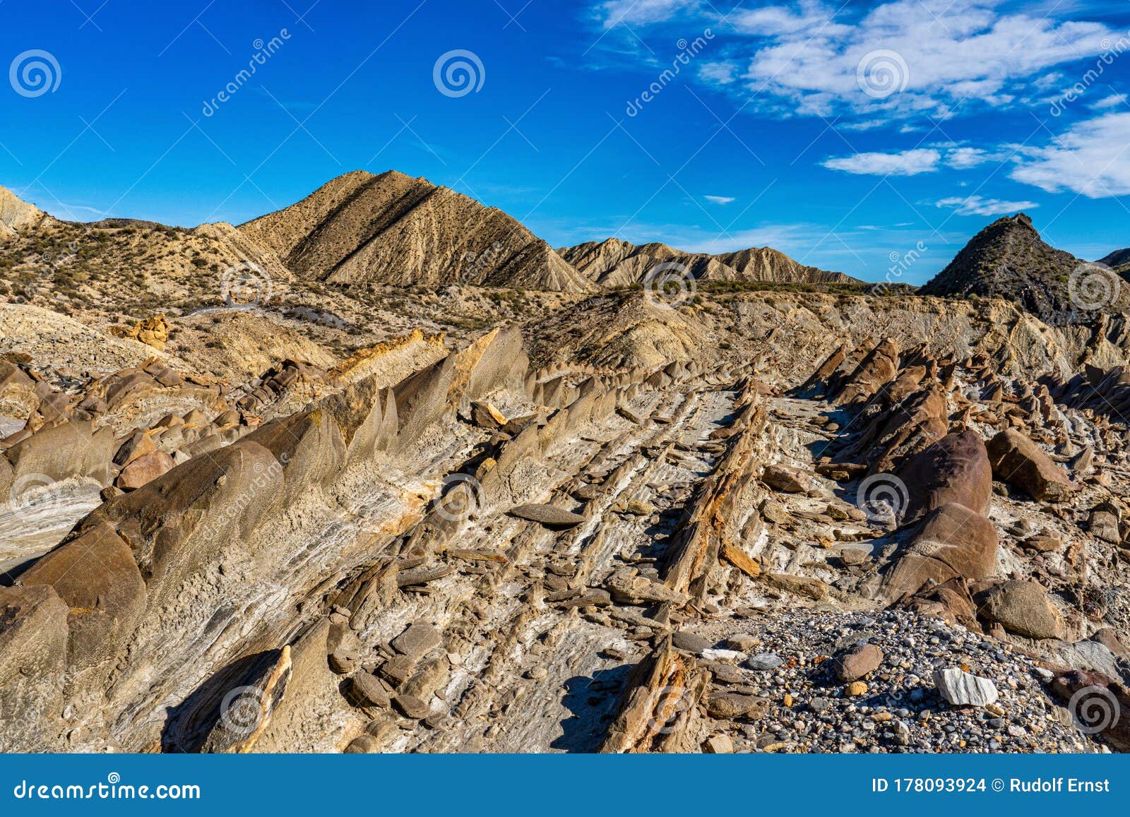 dragon tail, colas de dragon in tabernas desert in almeria, spain