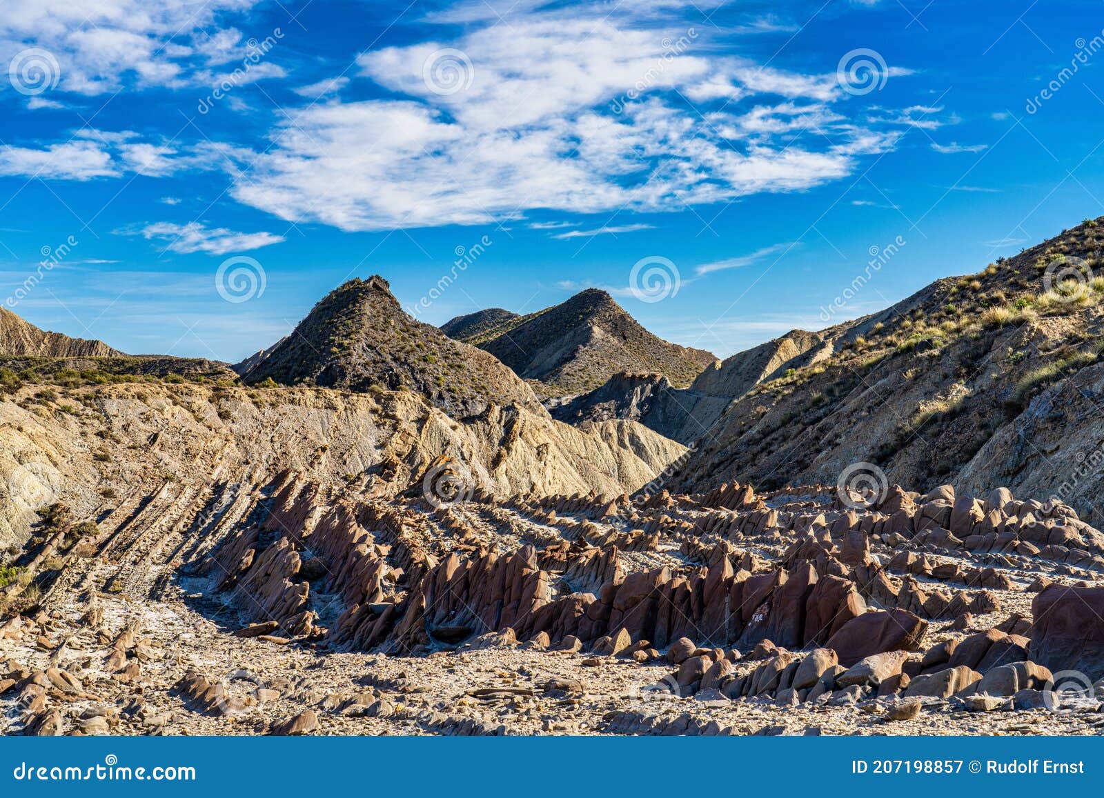 dragon tail, colas de dragon in tabernas desert in almeria, spain