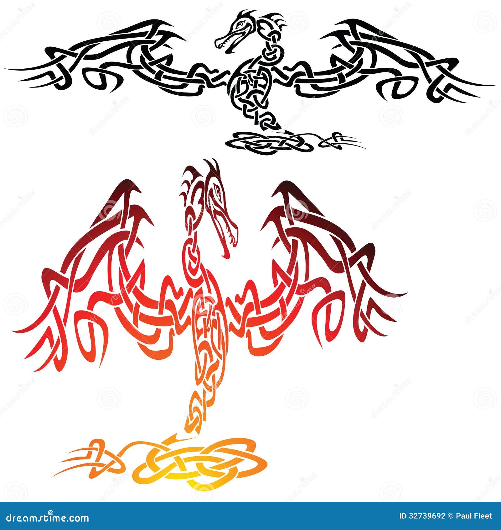 Celtic Dragon Tattoo Stock Illustrations – 665 Celtic Dragon Tattoo Stock  Illustrations, Vectors & Clipart - Dreamstime