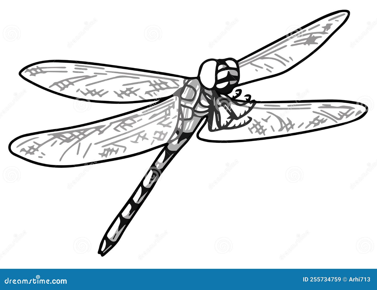 Dragonfly Handmade Vector Drawing in Black and White Stock Vector