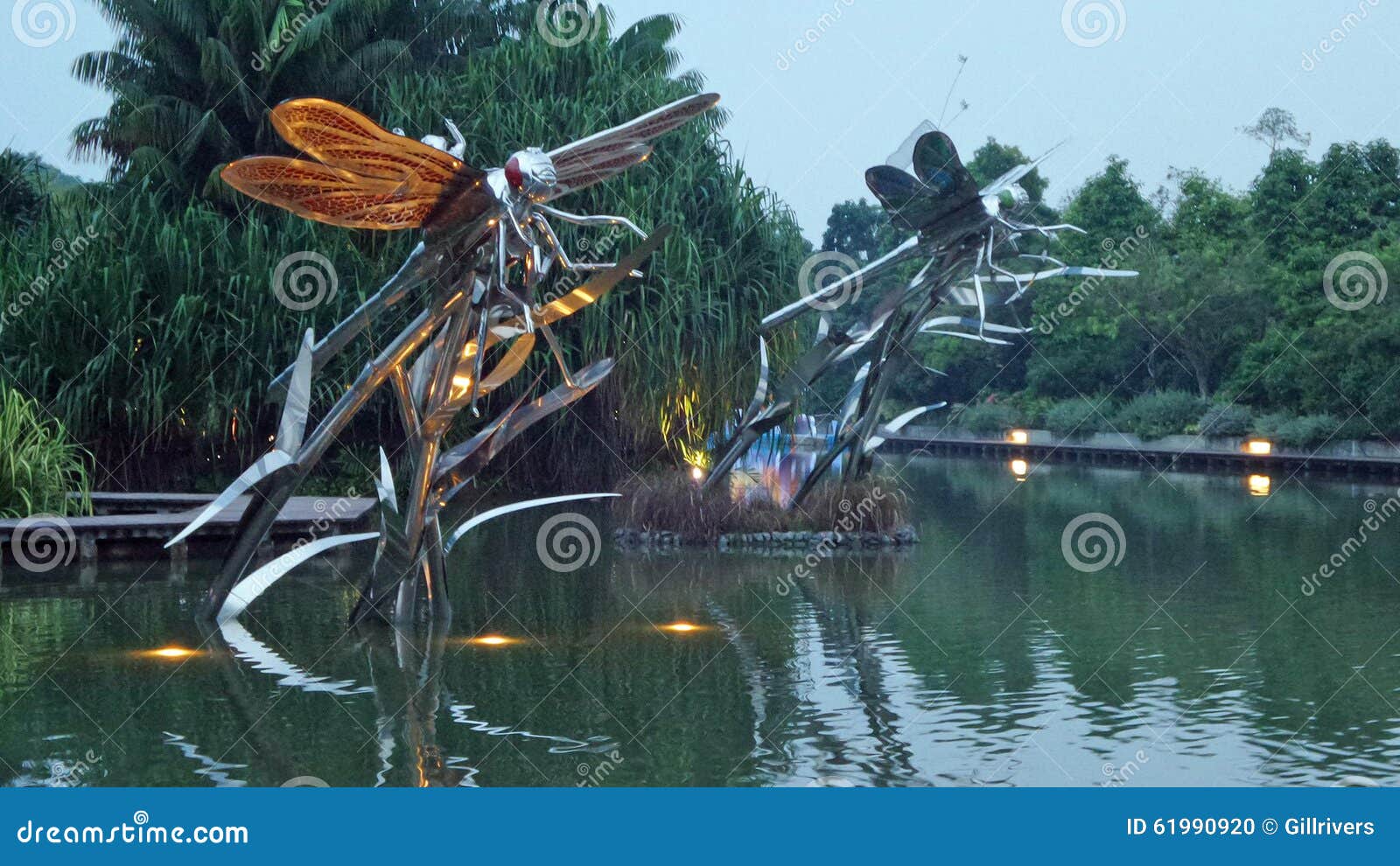 Dragonfly Lake Stock Photo Image 61990920