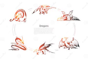 Dragons - Different Types of Dragons Vector Concept Set Stock Vector