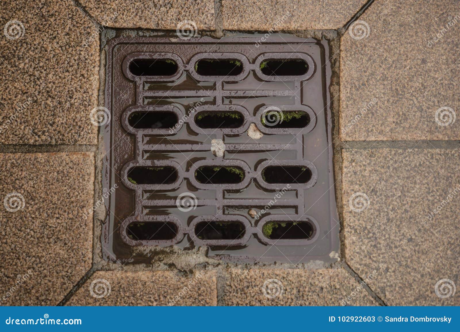 Drain Cover in the Middle of a Road Stock Image Image of