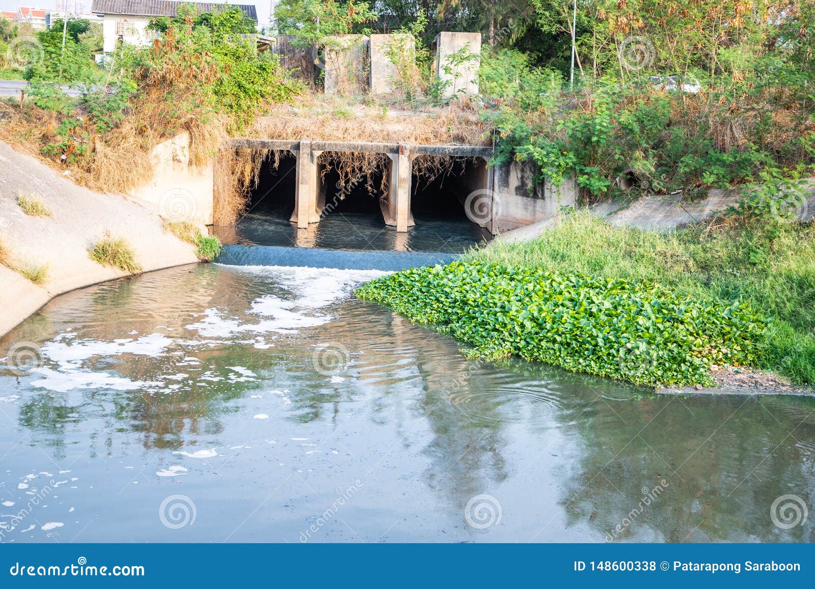 Water Pollution in Big City Not Treat Water before Drain. Stock Photo