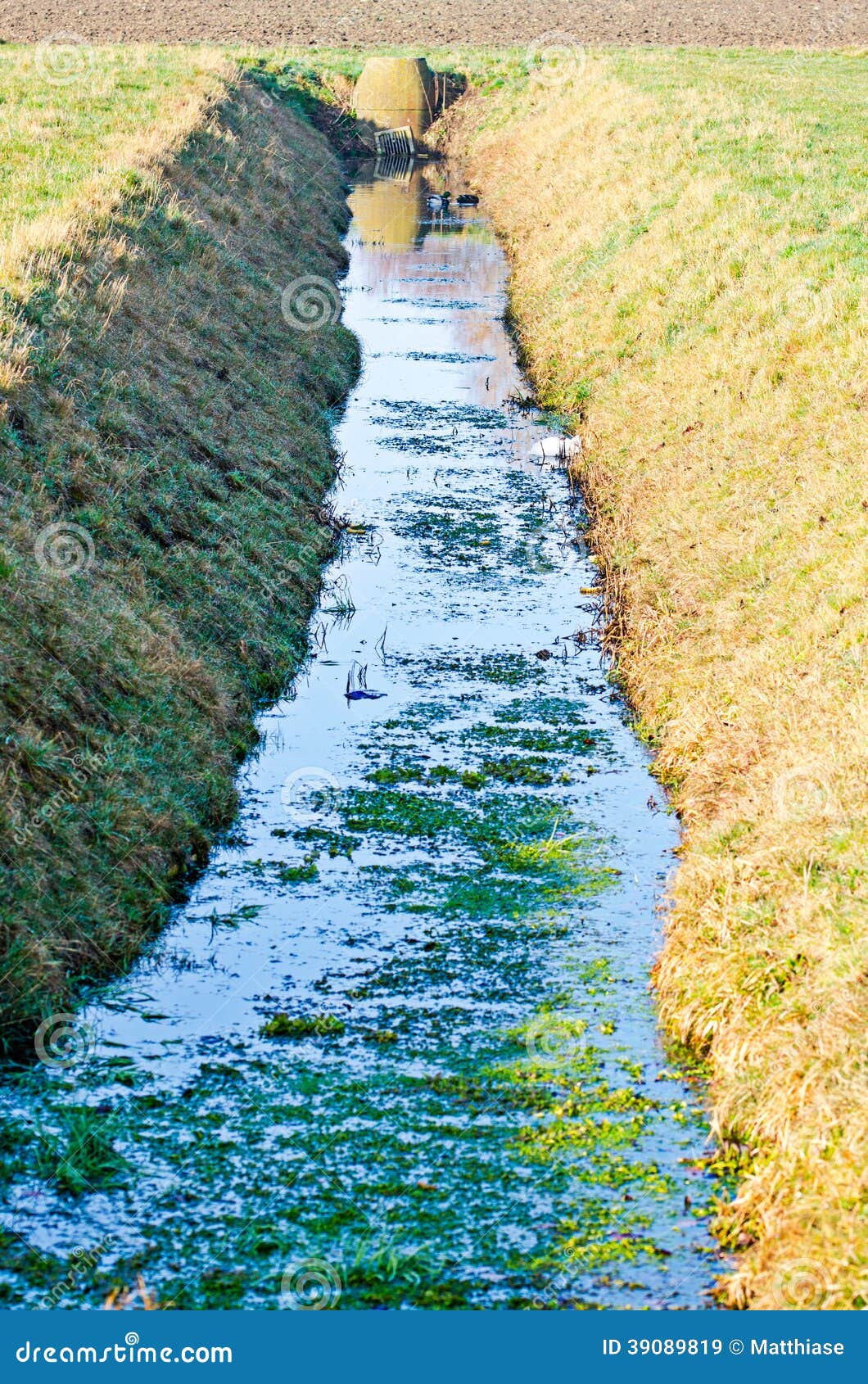 drainage ditch