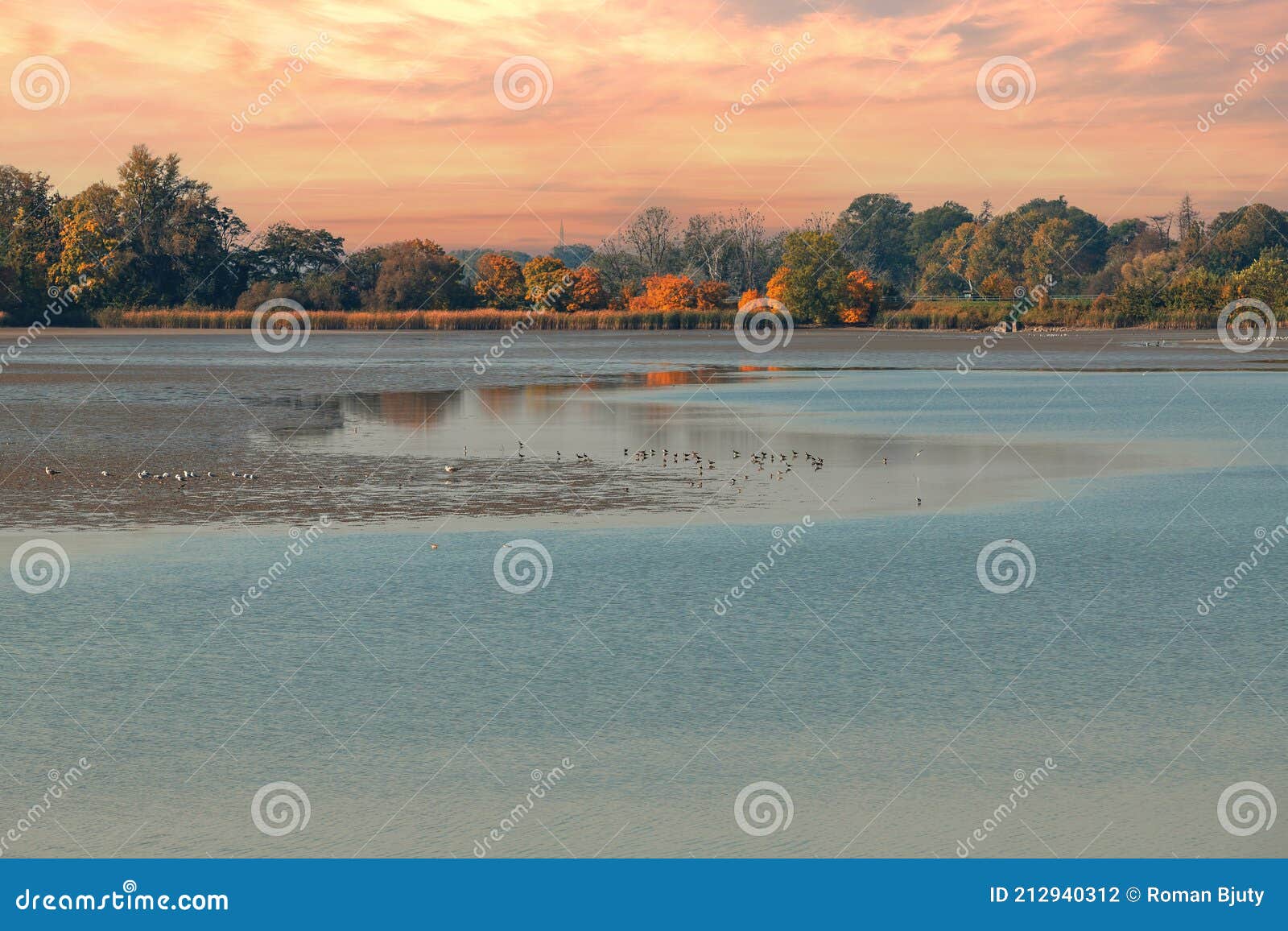 Drained Pond. There is Little Water in the Pond Stock Photo - Image of ...