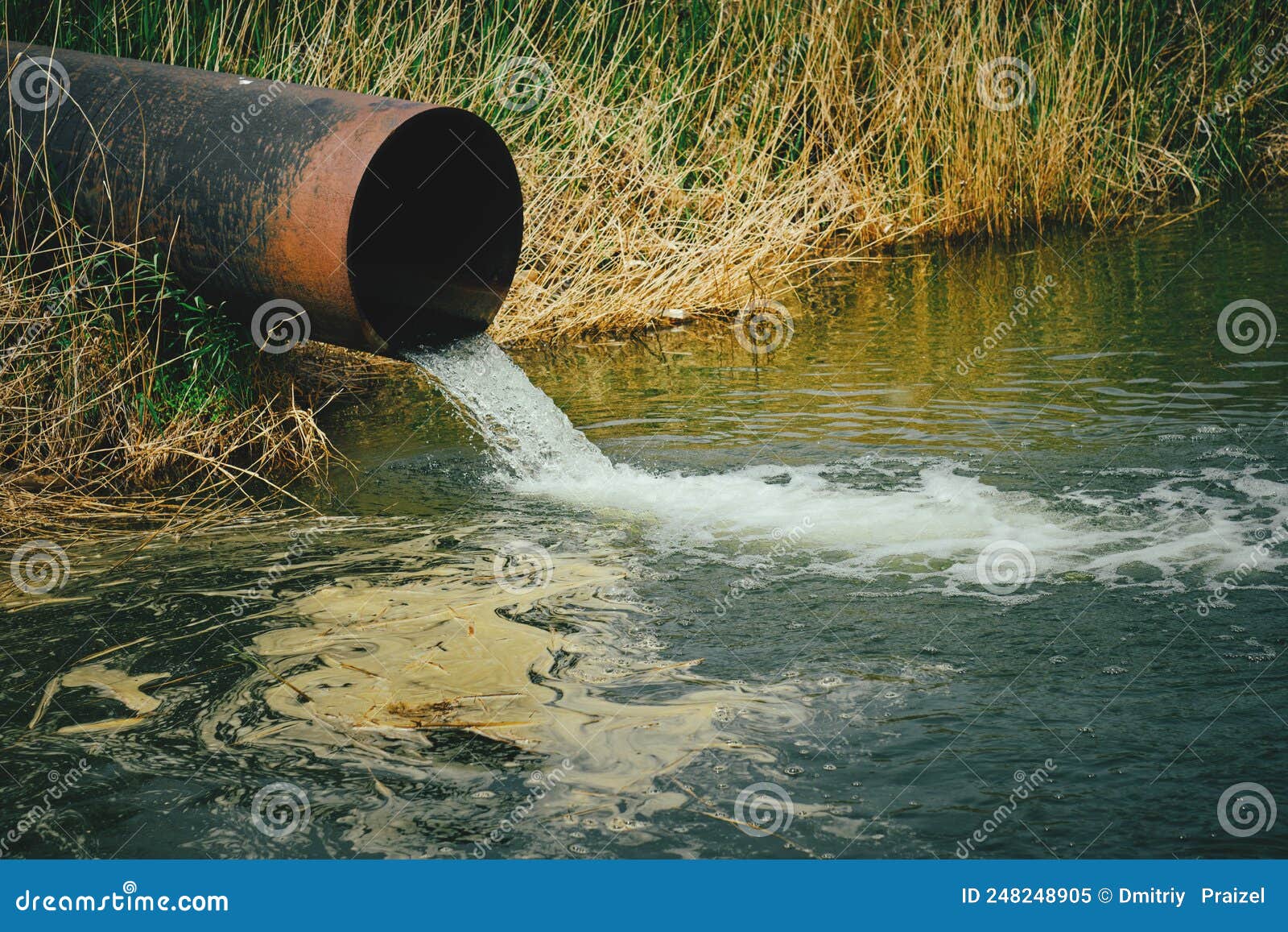 Draining Sewage from Pipe into River, Pollution Rivers and Ecology ...